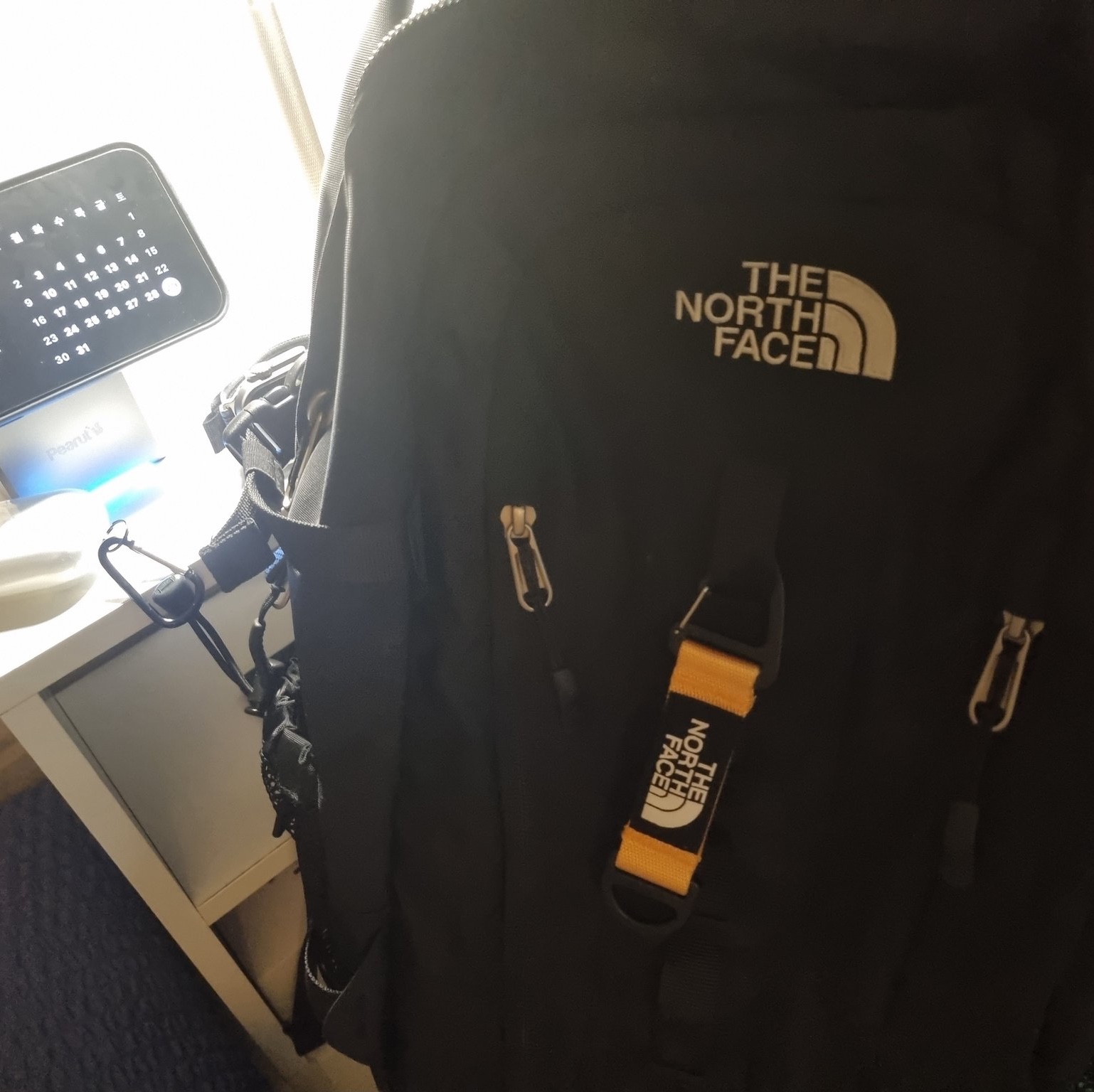 The North Face Big Shot Black 착용 스타일