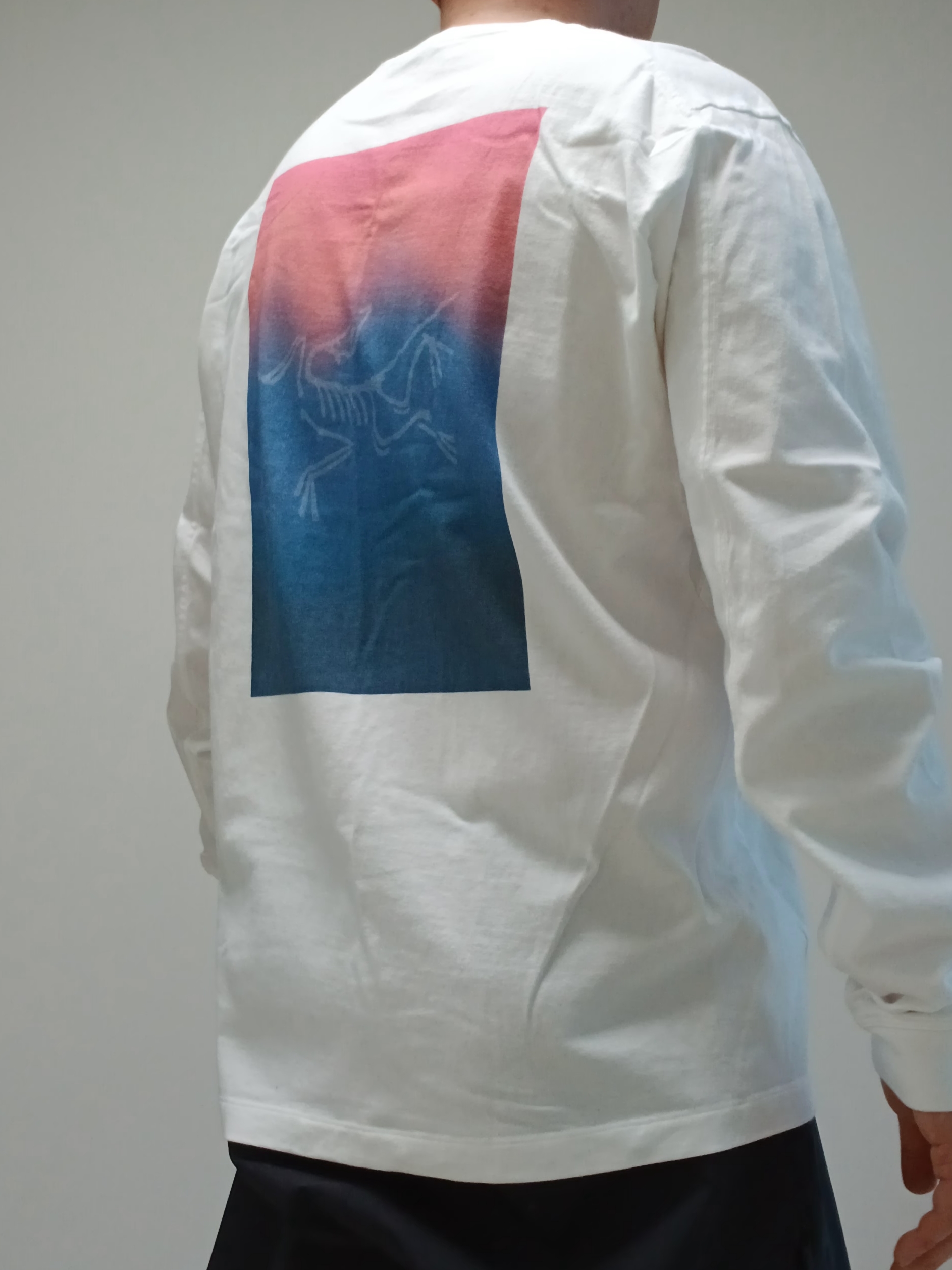 Arc'teryx Kragg Cotton Heatmap LS T-Shirt White Light Multi, Arc'teryx Keyring Metal 착용 스타일 - 4