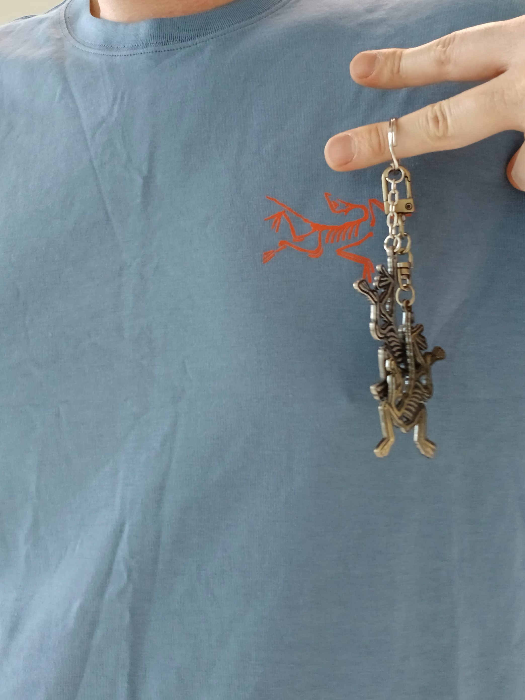 Arc'teryx Arc'Multi Bird Logo LS T-Shirt Stone Wash, Arc'teryx Keyring Metal 착용 스타일 - 2