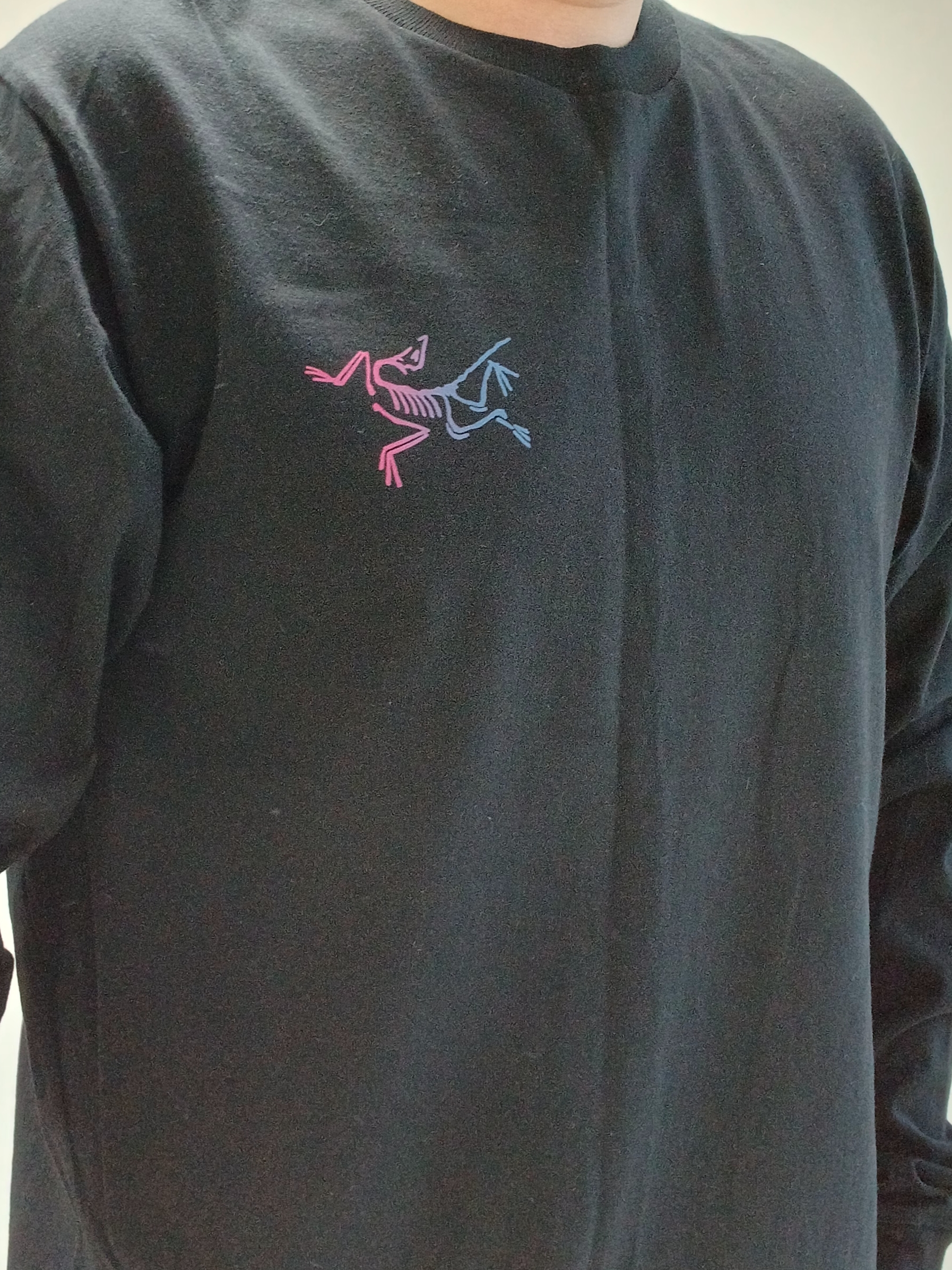 Arc'teryx Kragg Cotton Heatmap LS T-Shirt Black, Arc'teryx Keyring Metal 착용 스타일 - 5