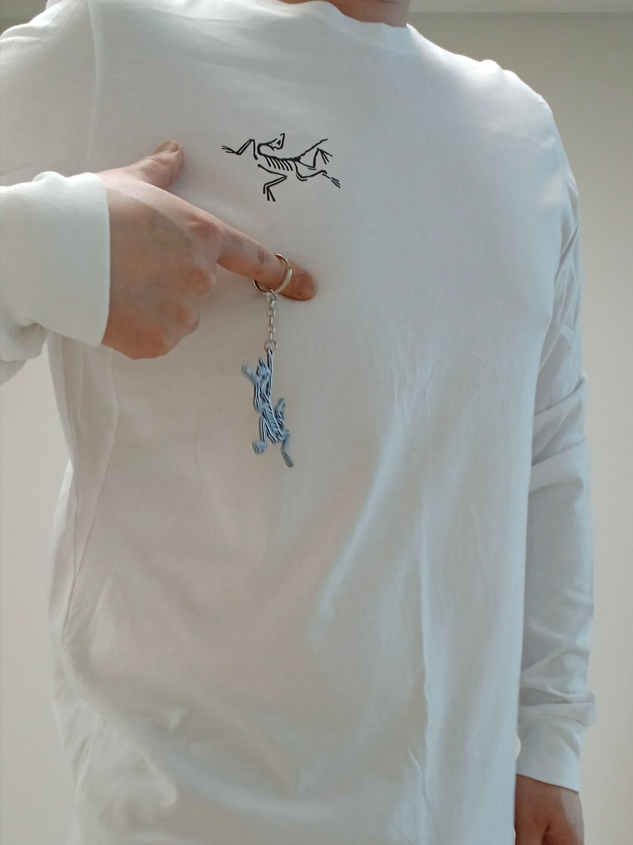 Arc'teryx Arc'Multi Bird Logo LS T-Shirt White Light, Arc'teryx Keyring Metal 착용 스타일 - 2