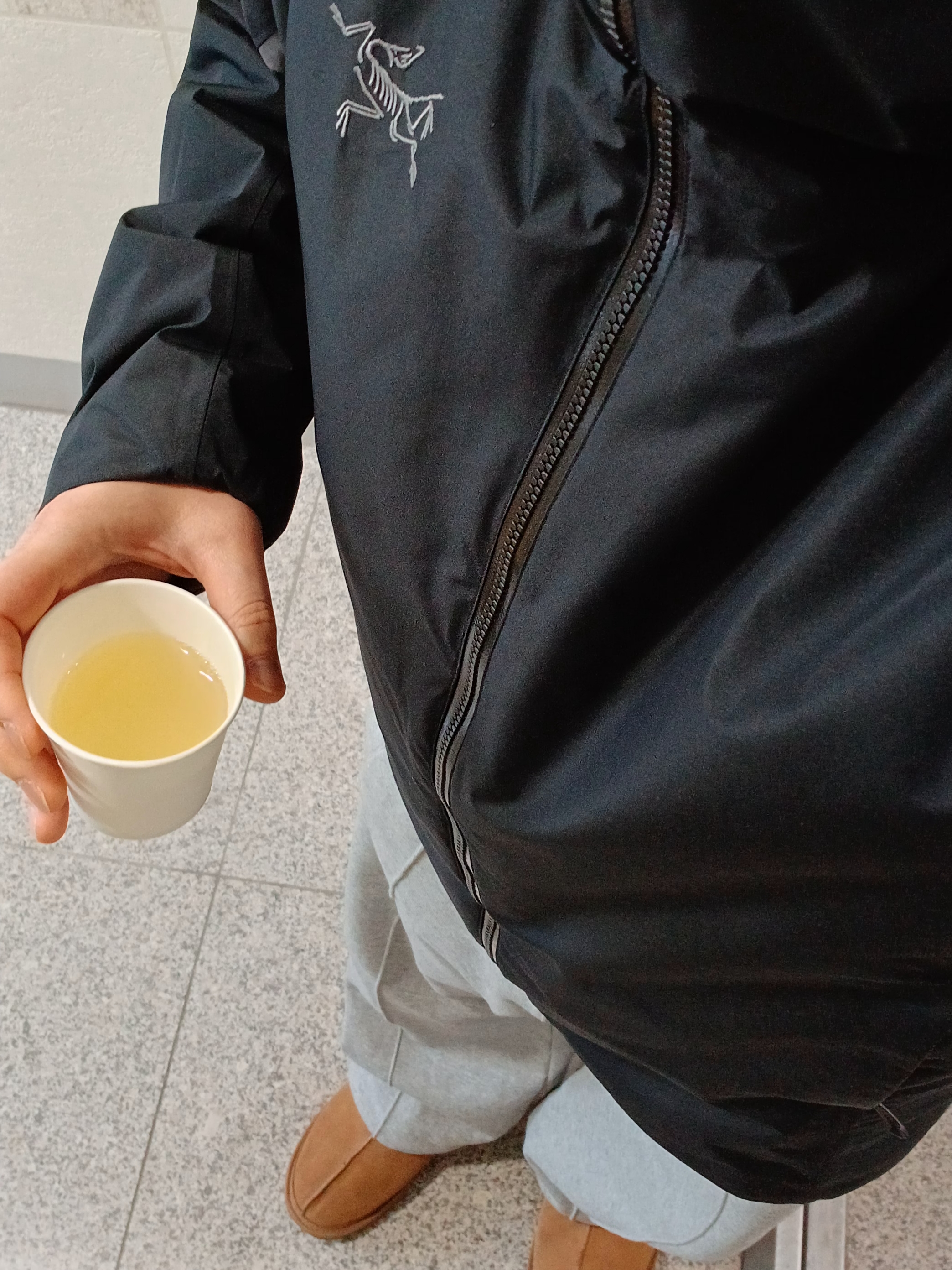 Arc'teryx Solano Insulated Hoody Black Graphite, UGG Neuman Chestnut 착용 스타일 - 1