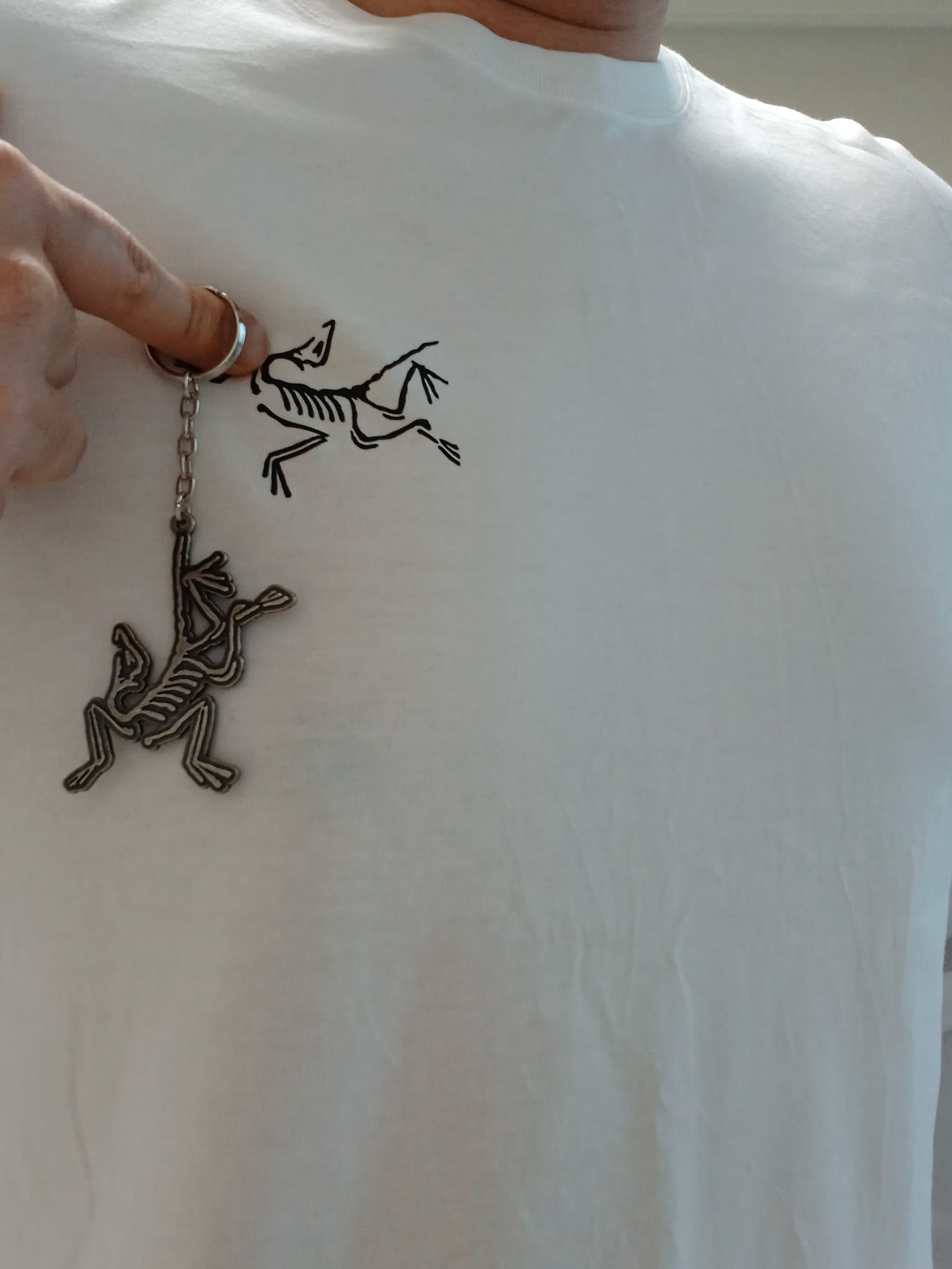 Arc'teryx Arc'Multi Bird Logo LS T-Shirt White Light, Arc'teryx Keyring Metal 착용 스타일 - 5