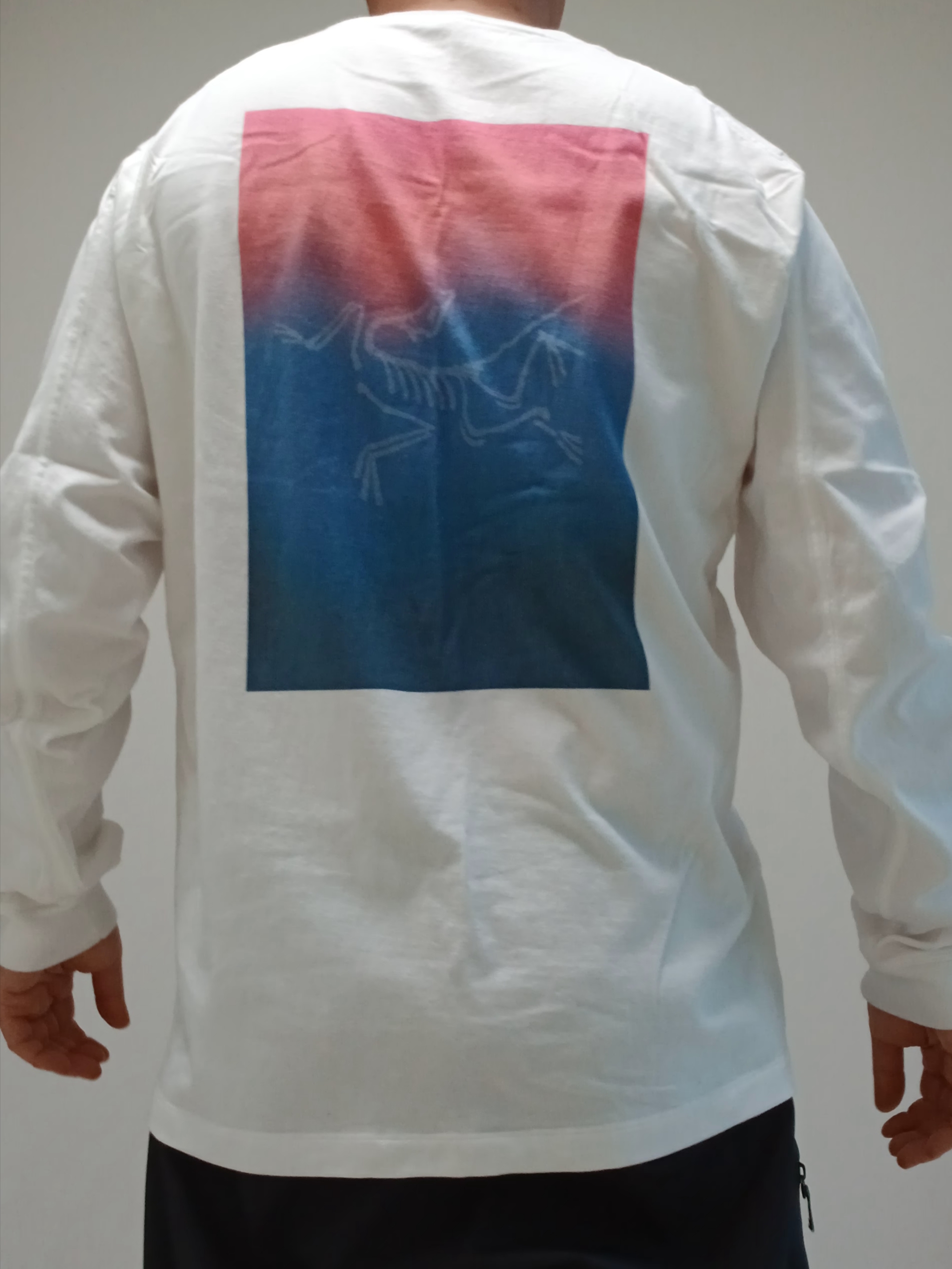 Arc'teryx Kragg Cotton Heatmap LS T-Shirt White Light Multi, Arc'teryx Keyring Metal 착용 스타일 - 1