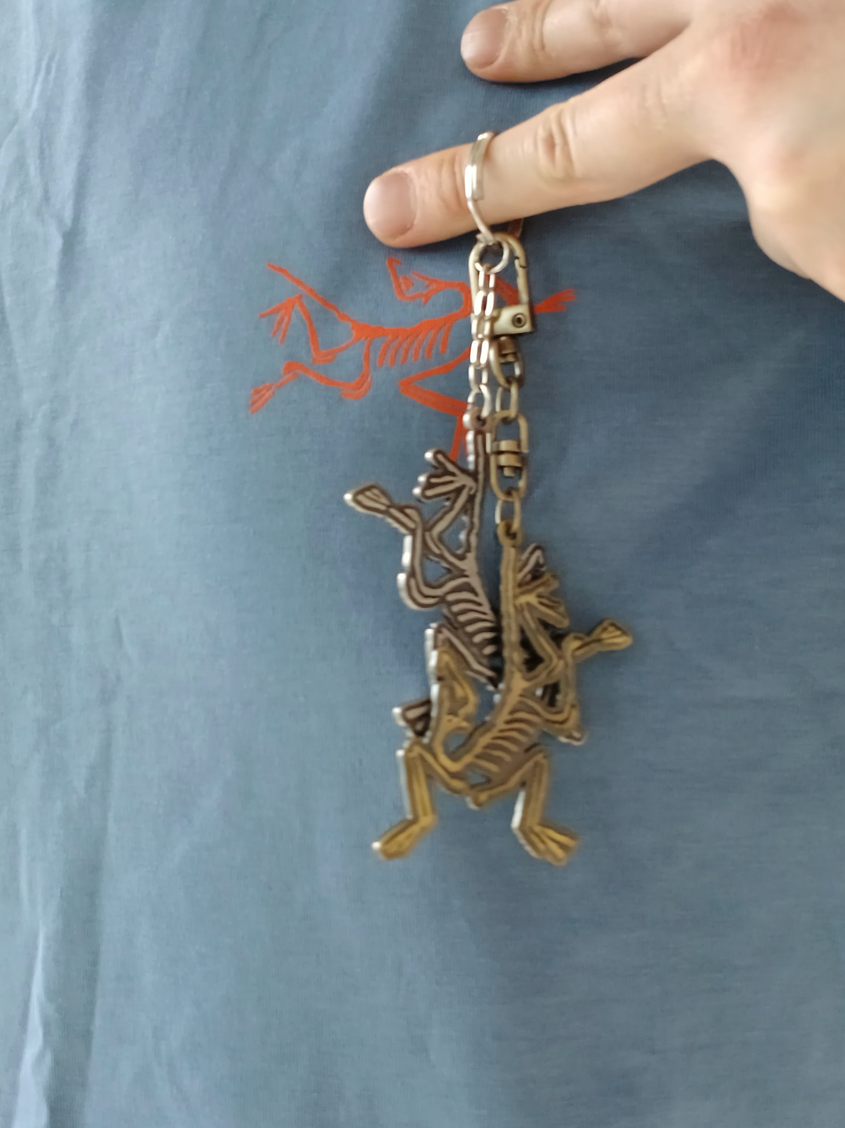 Arc'teryx Arc'Multi Bird Logo LS T-Shirt Stone Wash, Arc'teryx Keyring Metal 착용 스타일 - 7