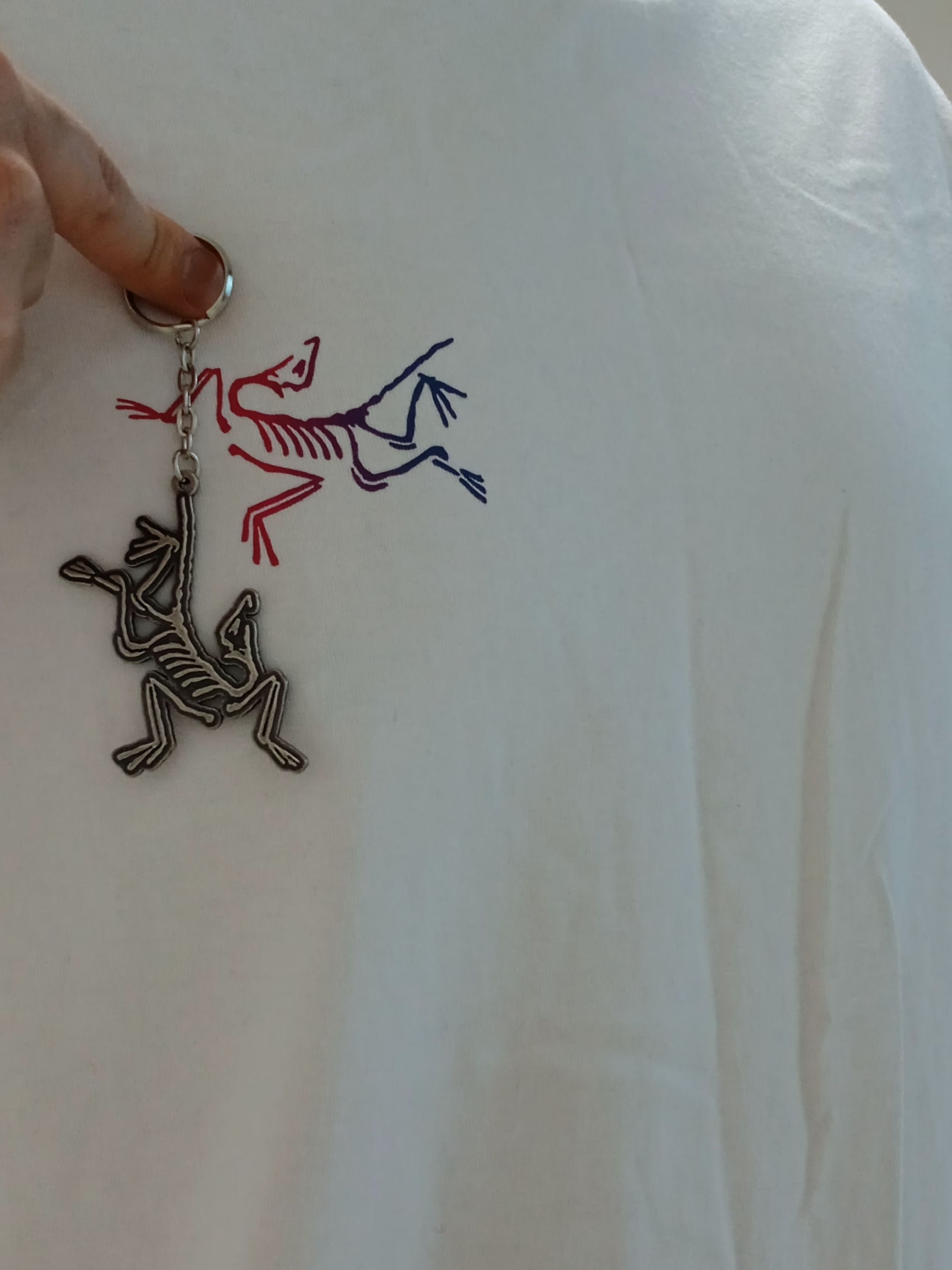 Arc'teryx Kragg Cotton Heatmap LS T-Shirt White Light Multi, Arc'teryx Keyring Metal 착용 스타일 - 6