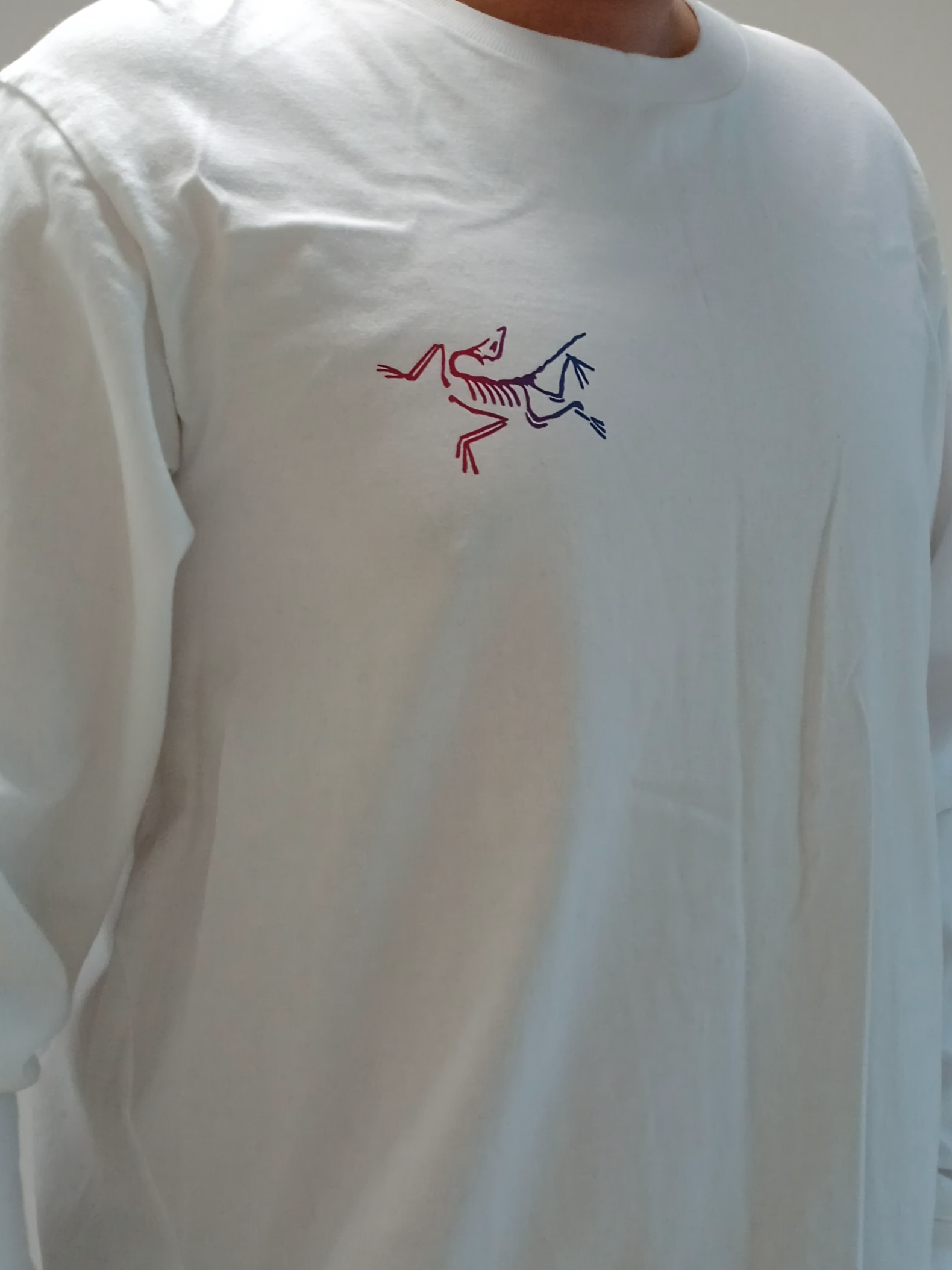 Arc'teryx Kragg Cotton Heatmap LS T-Shirt White Light Multi, Arc'teryx Keyring Metal 착용 스타일 - 3