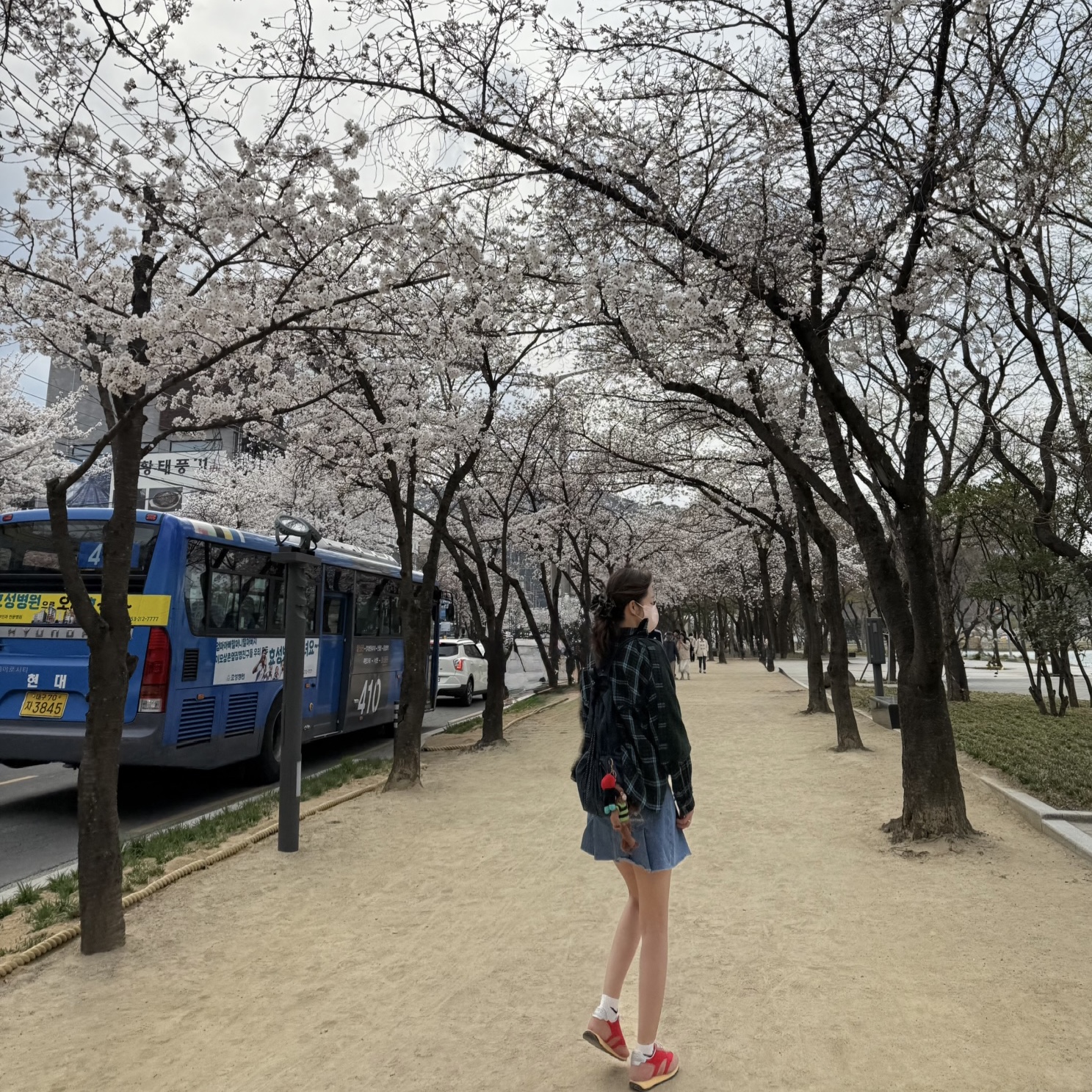 ์์
์ด๋ฏธ์ง