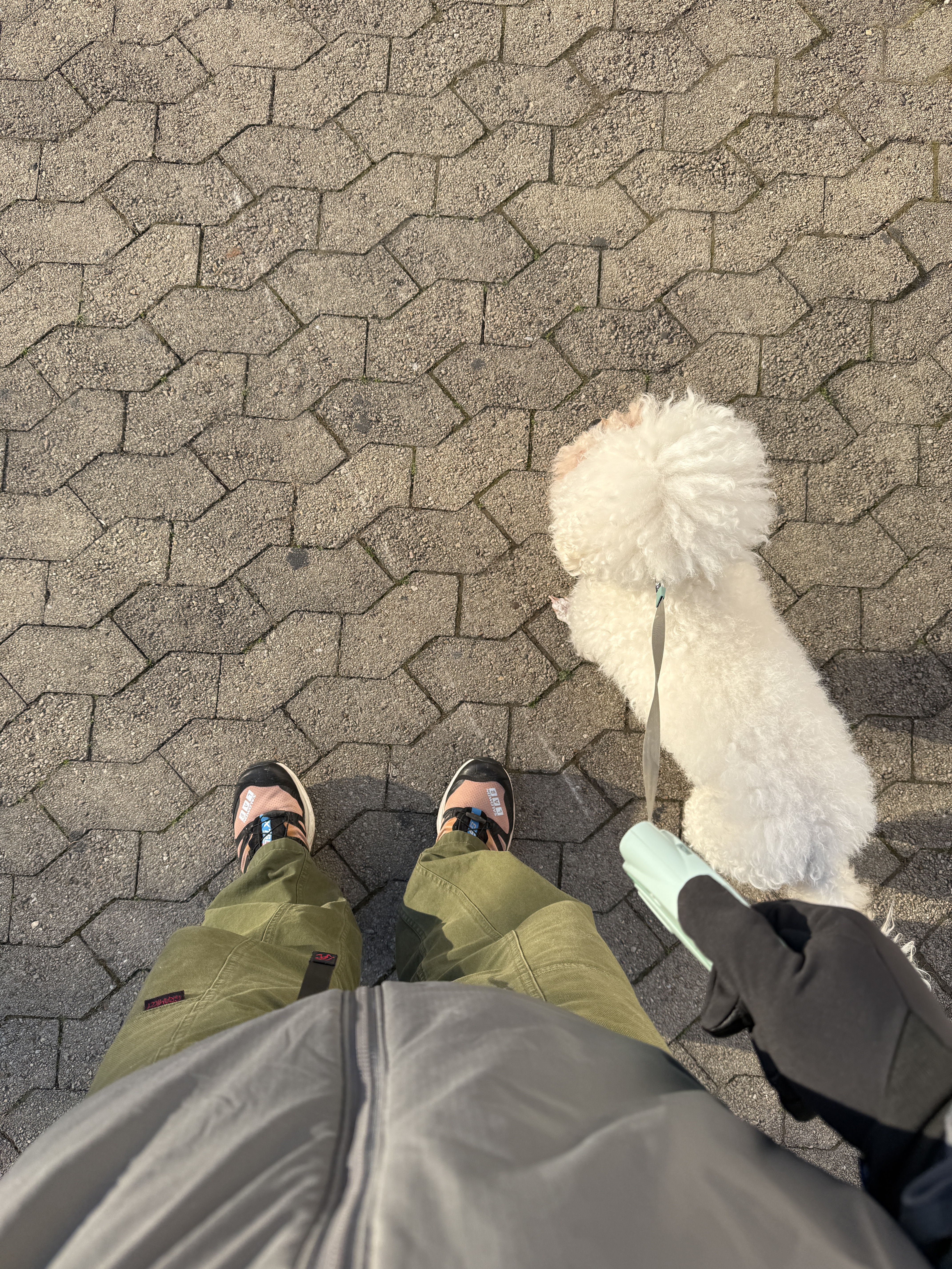 너구리님의 스타일