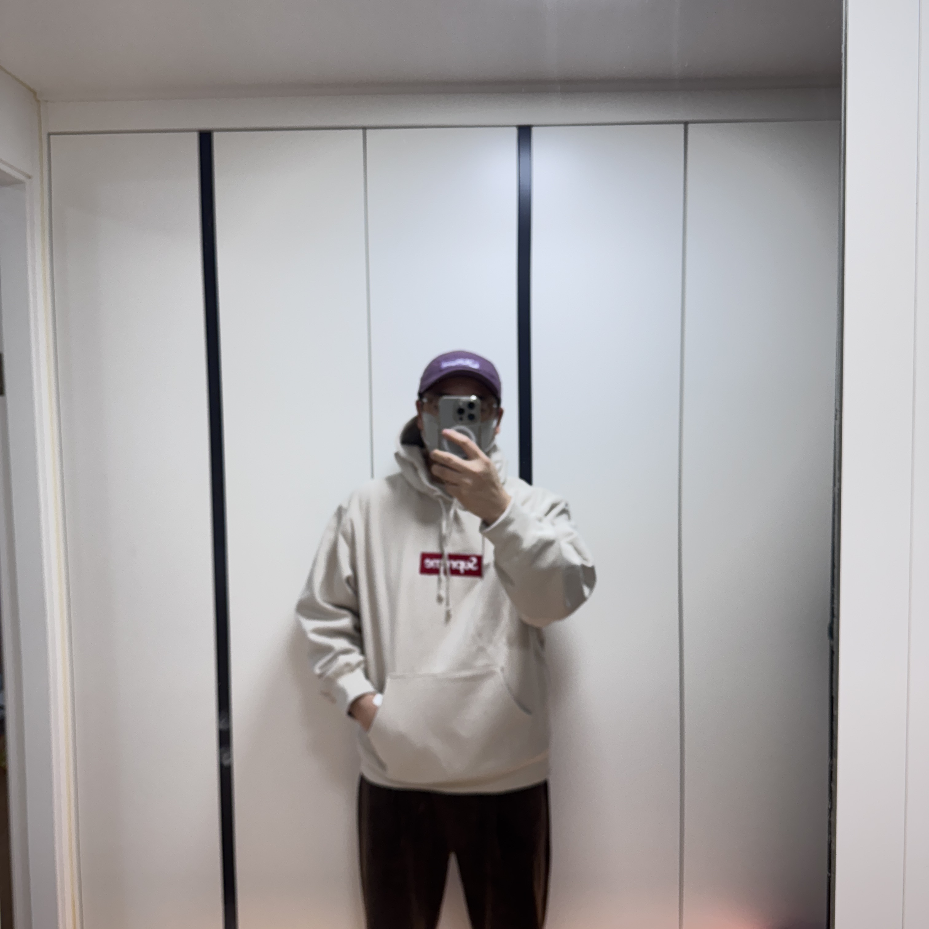 Supreme Box Logo Hooded Sweatshirt Stone - 24FW 착용 스타일 - 1