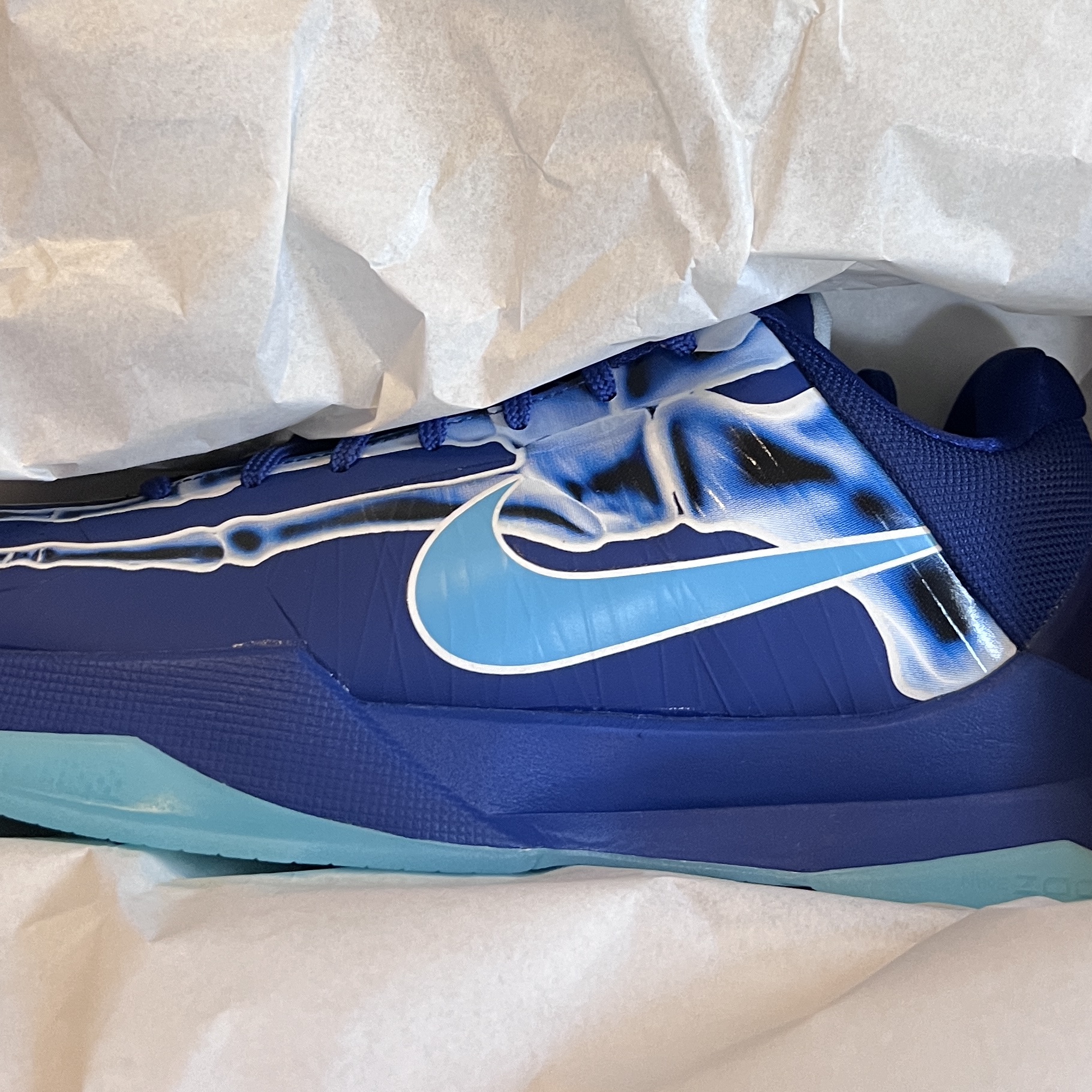 (GS) Nike Kobe 5 Protro Deep Royal Blue 착용 스타일