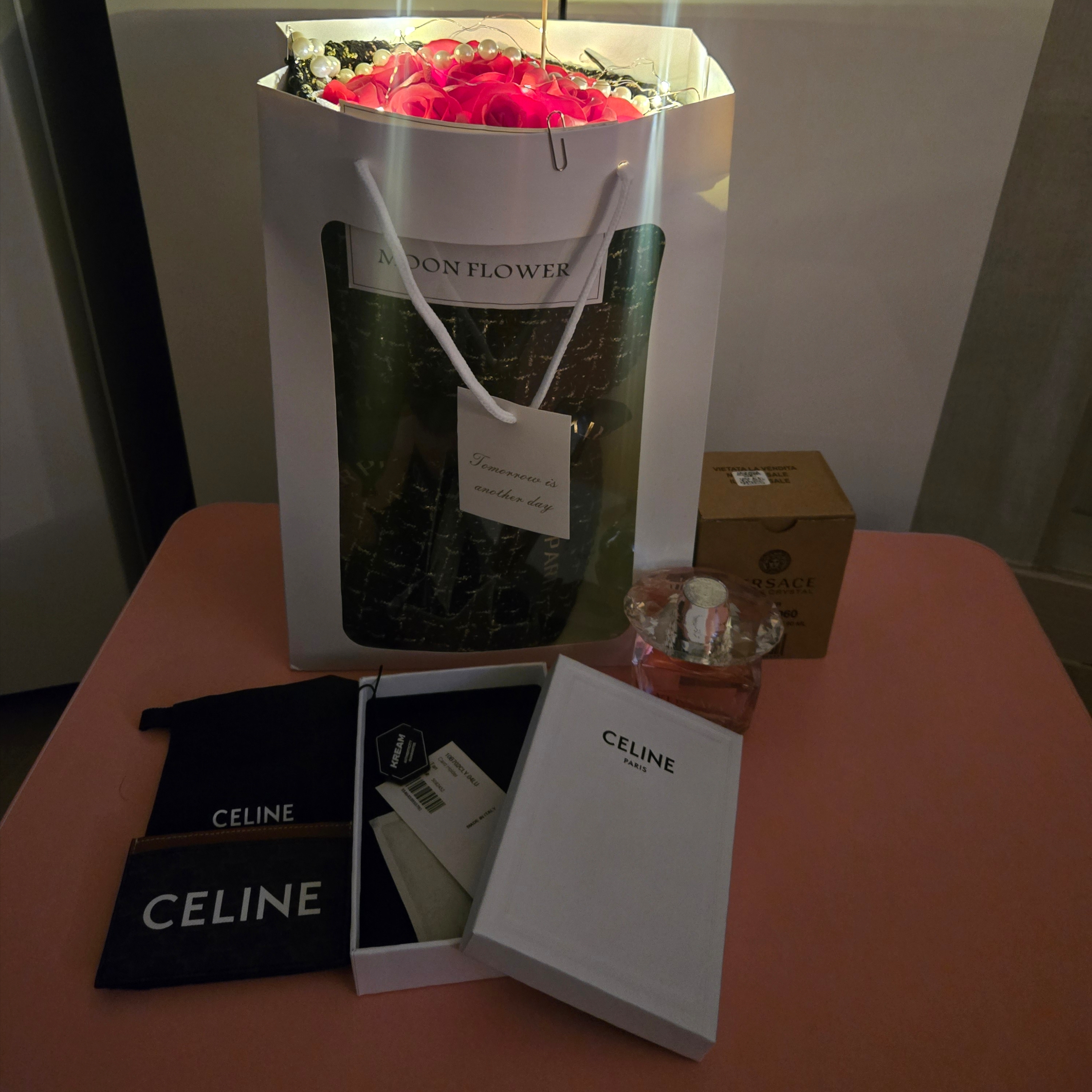 Celine Card Holder in Triomphe Canvas with Celine Print Tan 착용 스타일