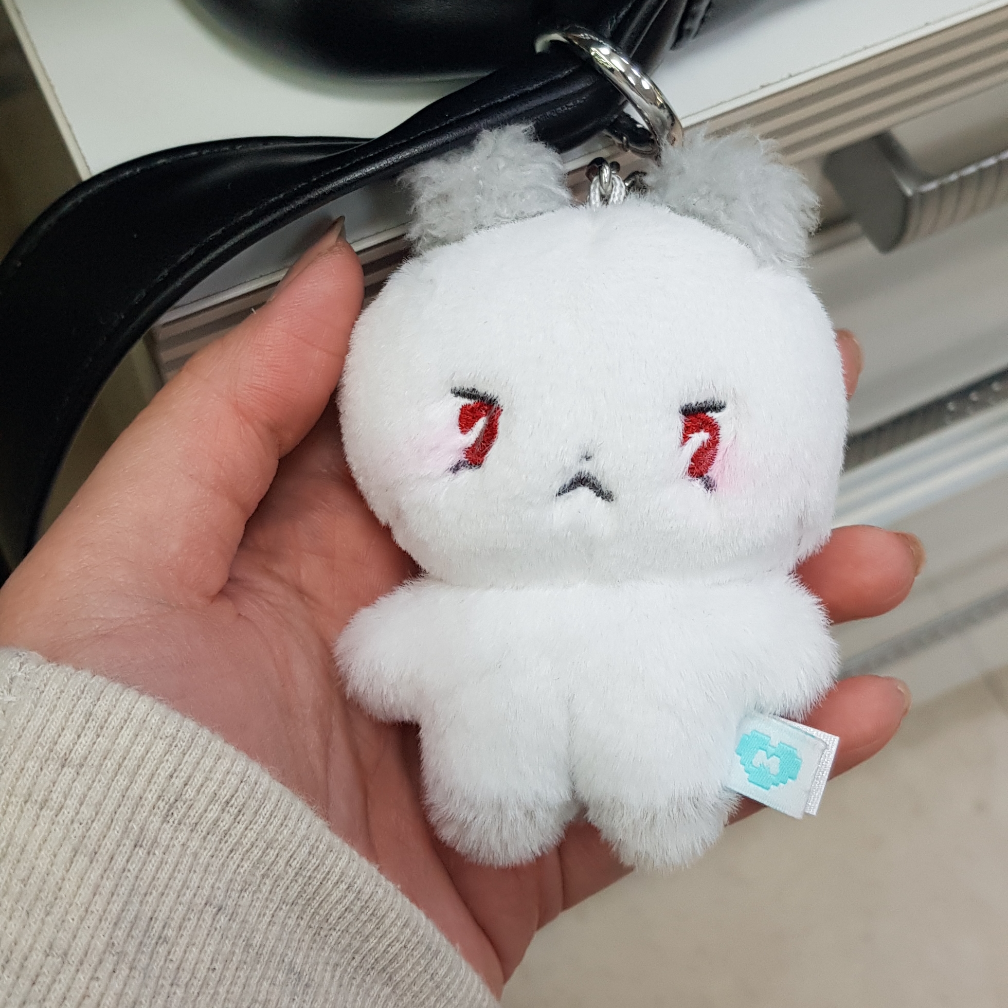 Plave MMMM Plush Keyring Mumo 착용 스타일