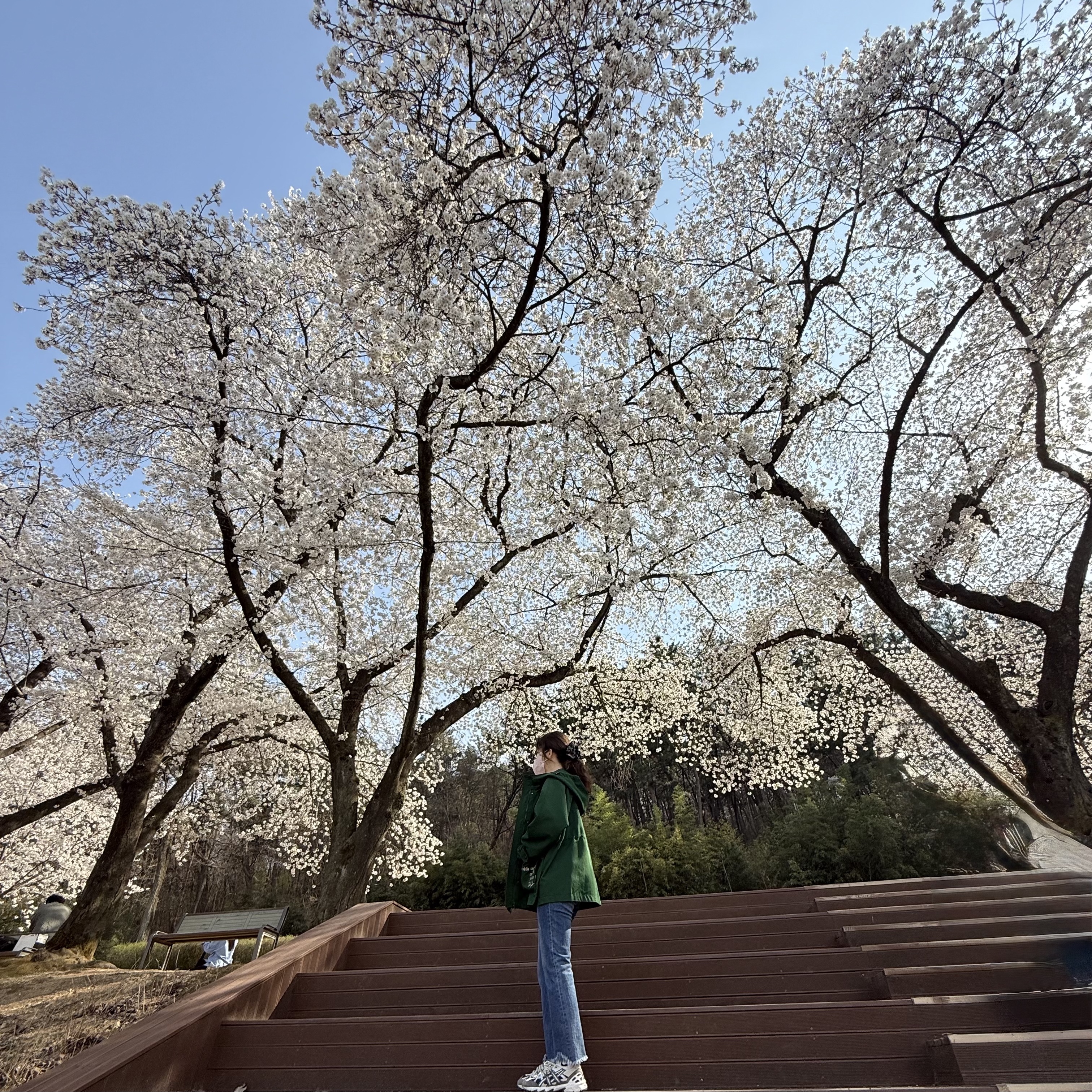 ์์
์ด๋ฏธ์ง