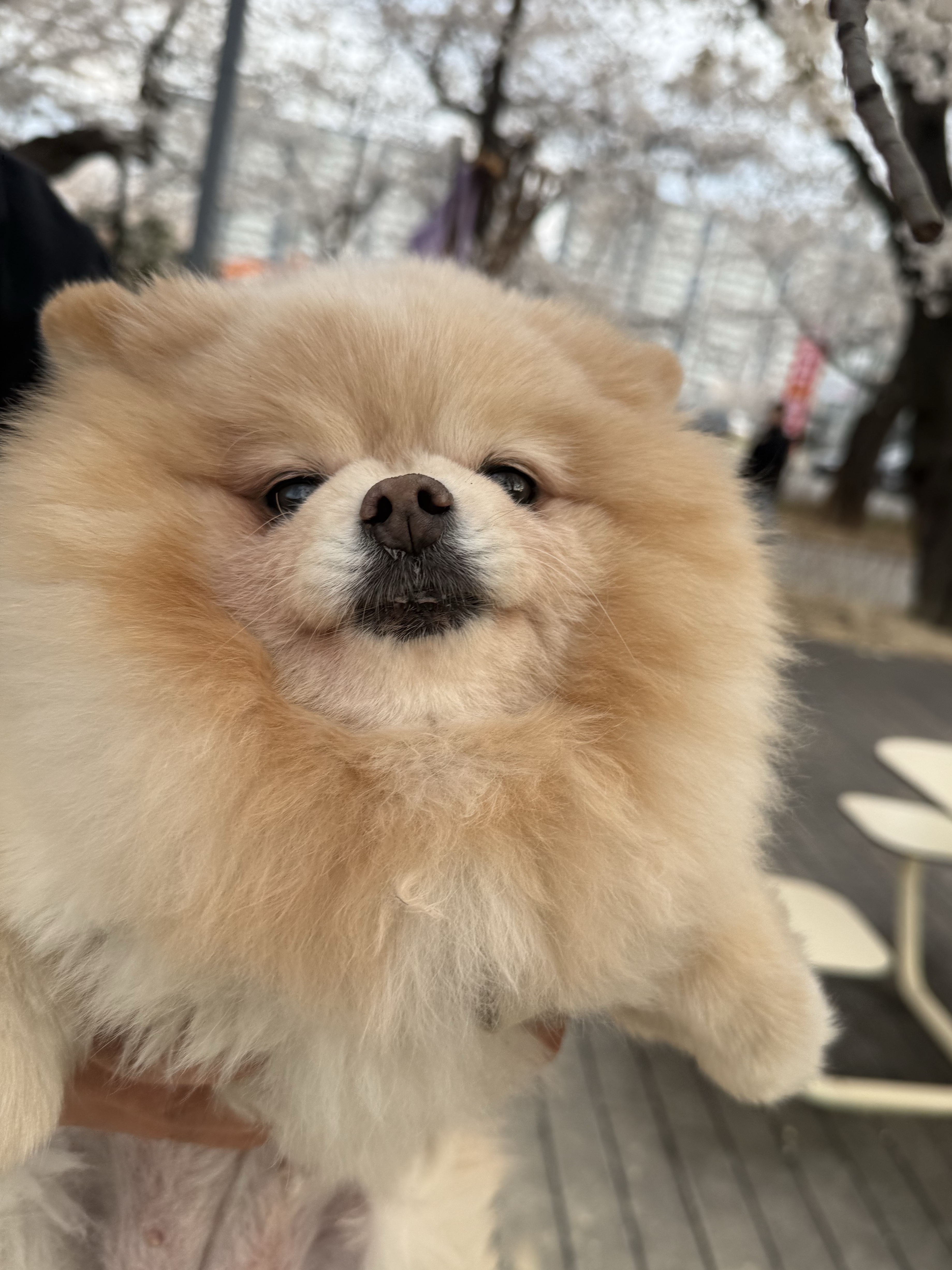 핼둥님의 스타일 - 3