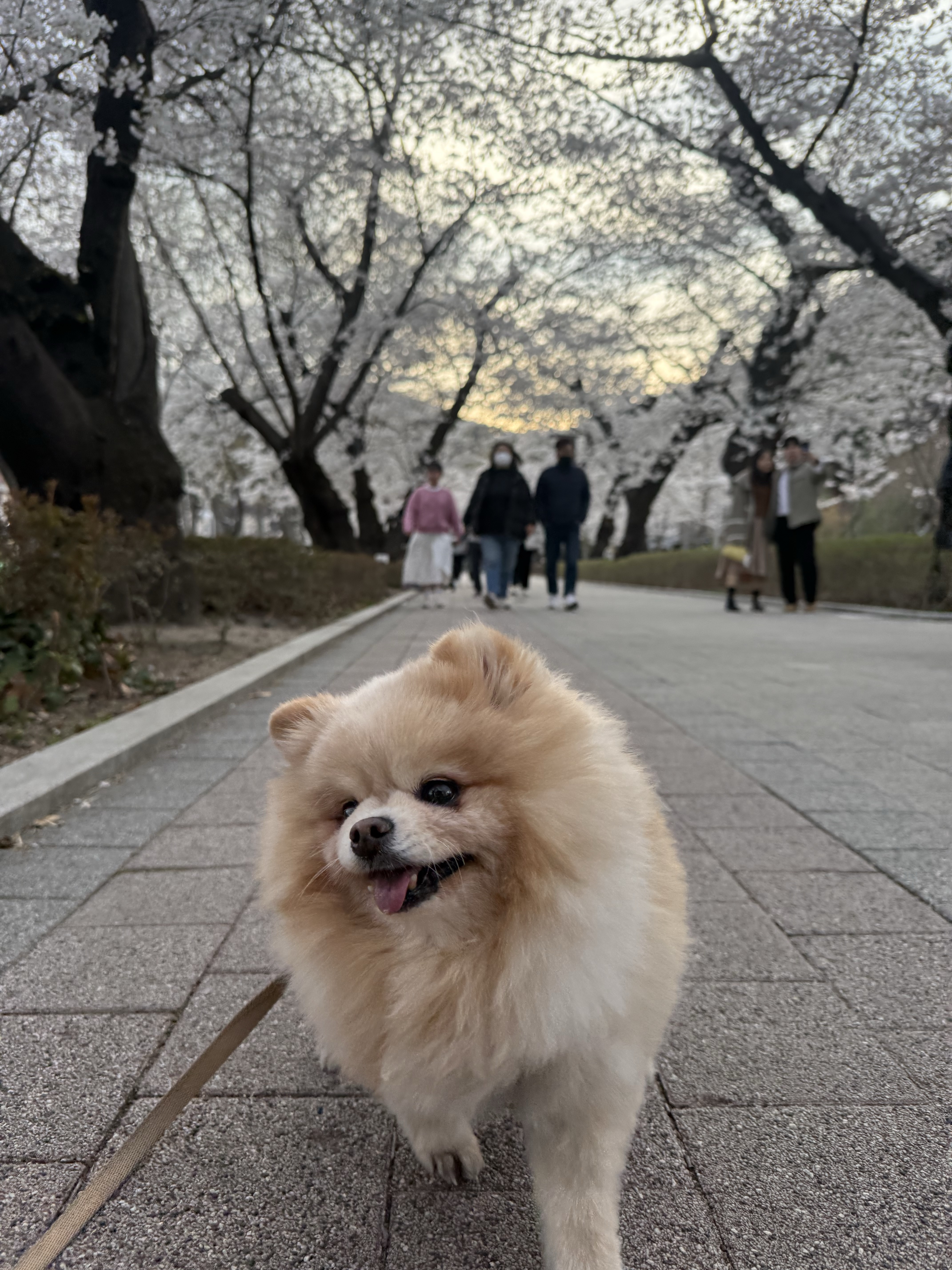 핼둥님의 스타일 - 1