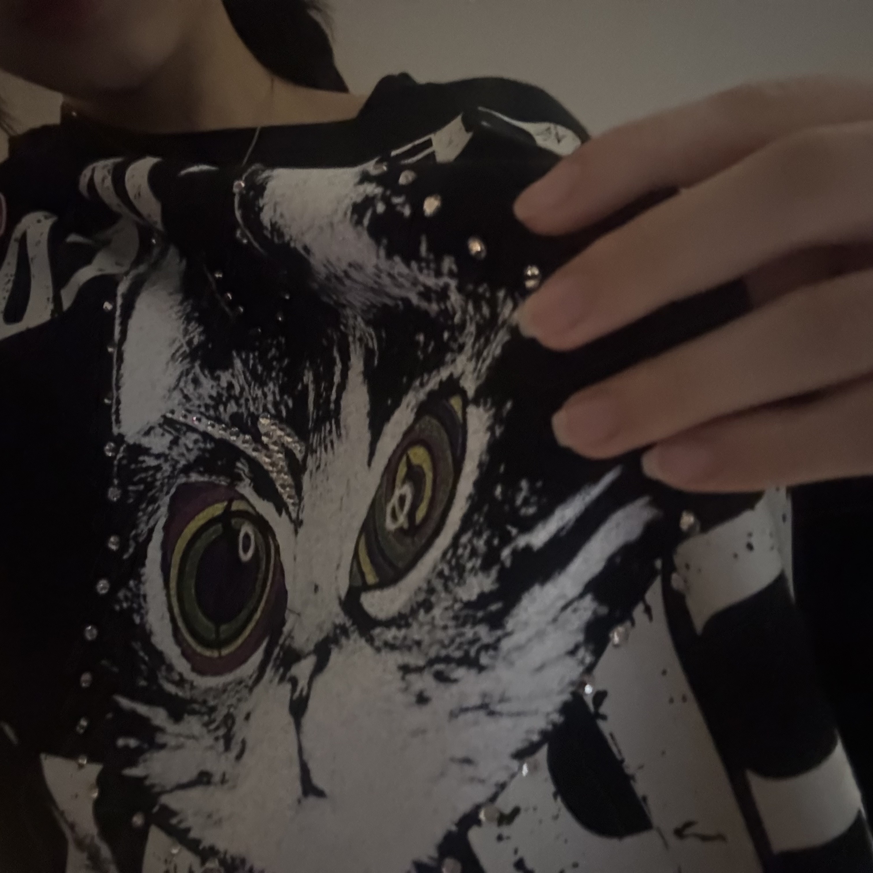 Grailz x ZICO Vintage Freak Cat Long Sleeve Black 착용 스타일