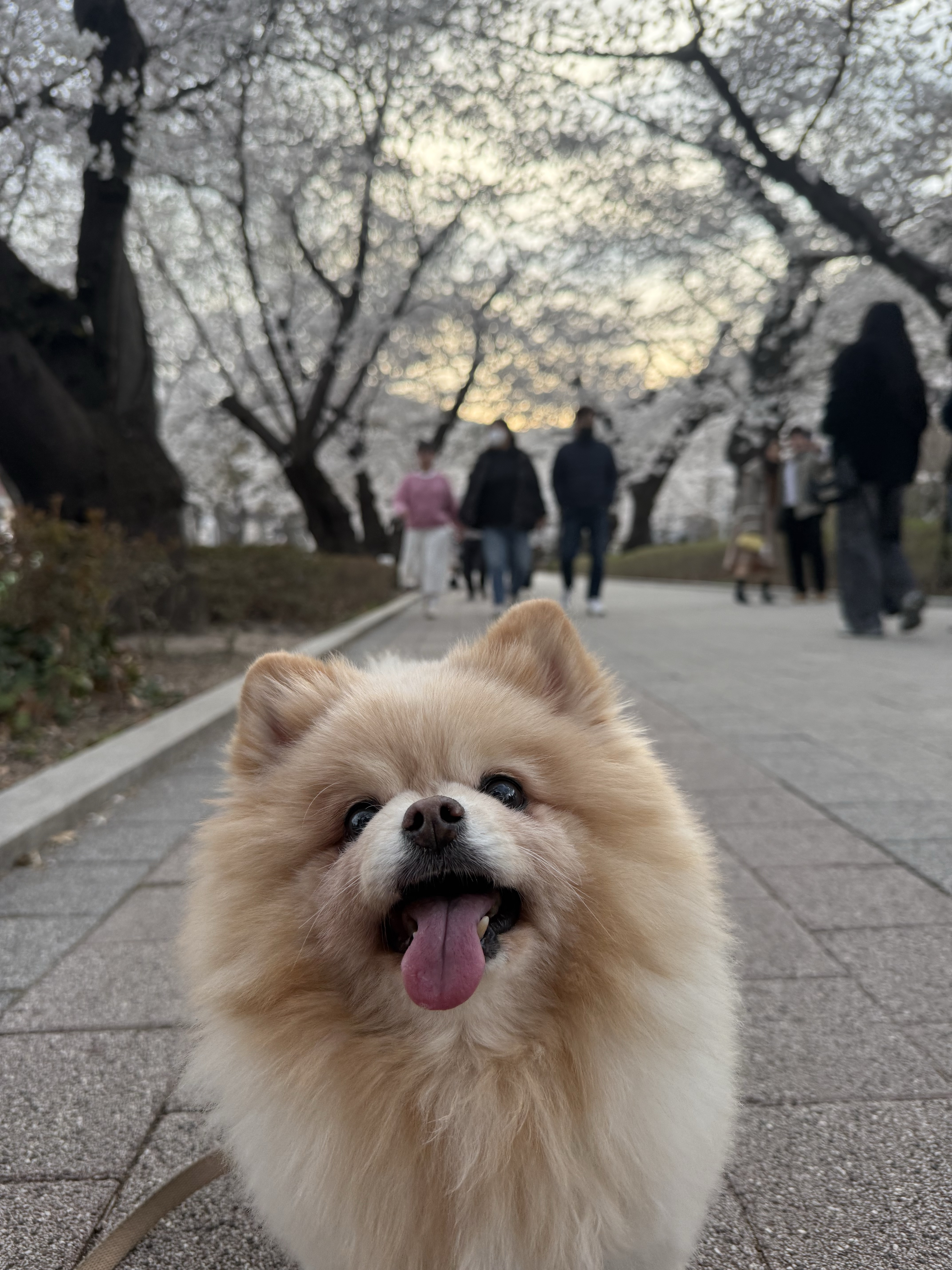 핼둥님의 스타일 - 2