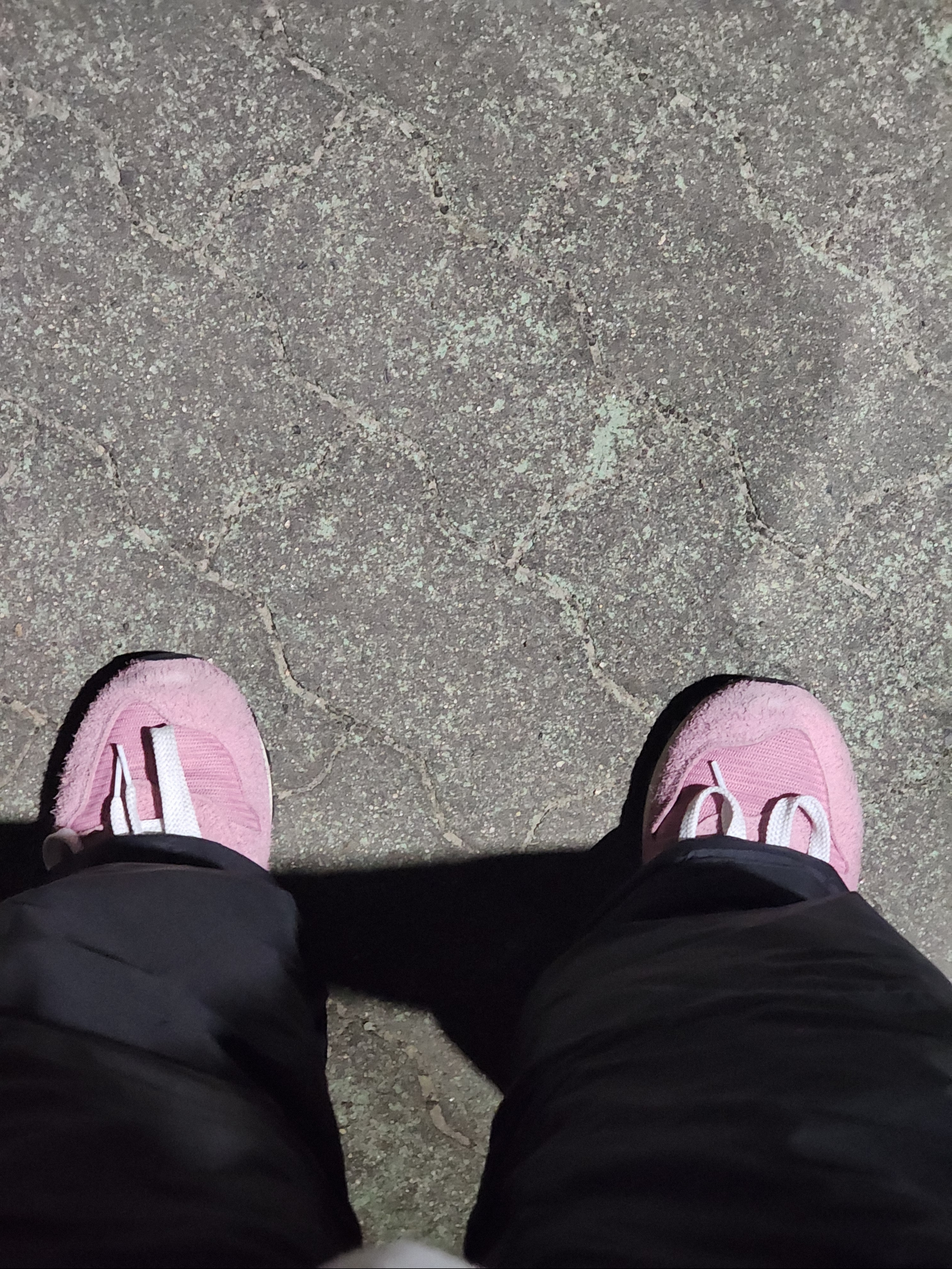 New Balance x Aime Leon Dore 1300 Dusty Pink 착용 스타일