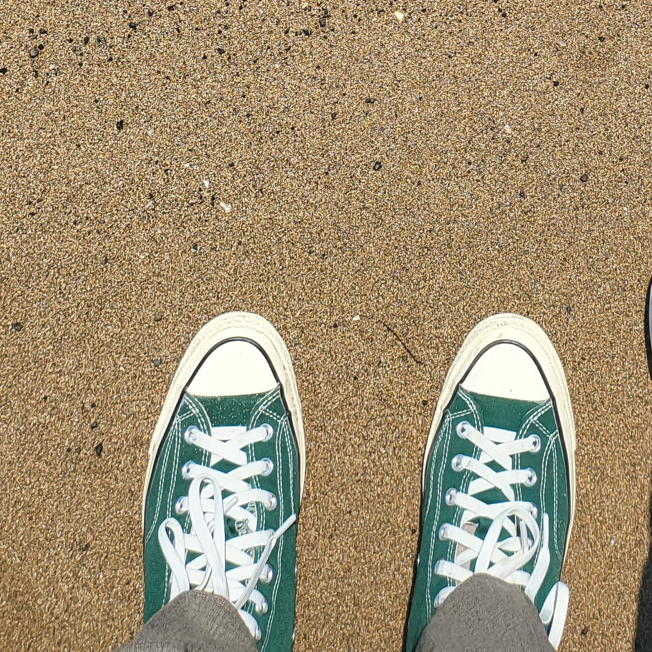 Converse Chuck 70 High Midnight Clover 착용 스타일