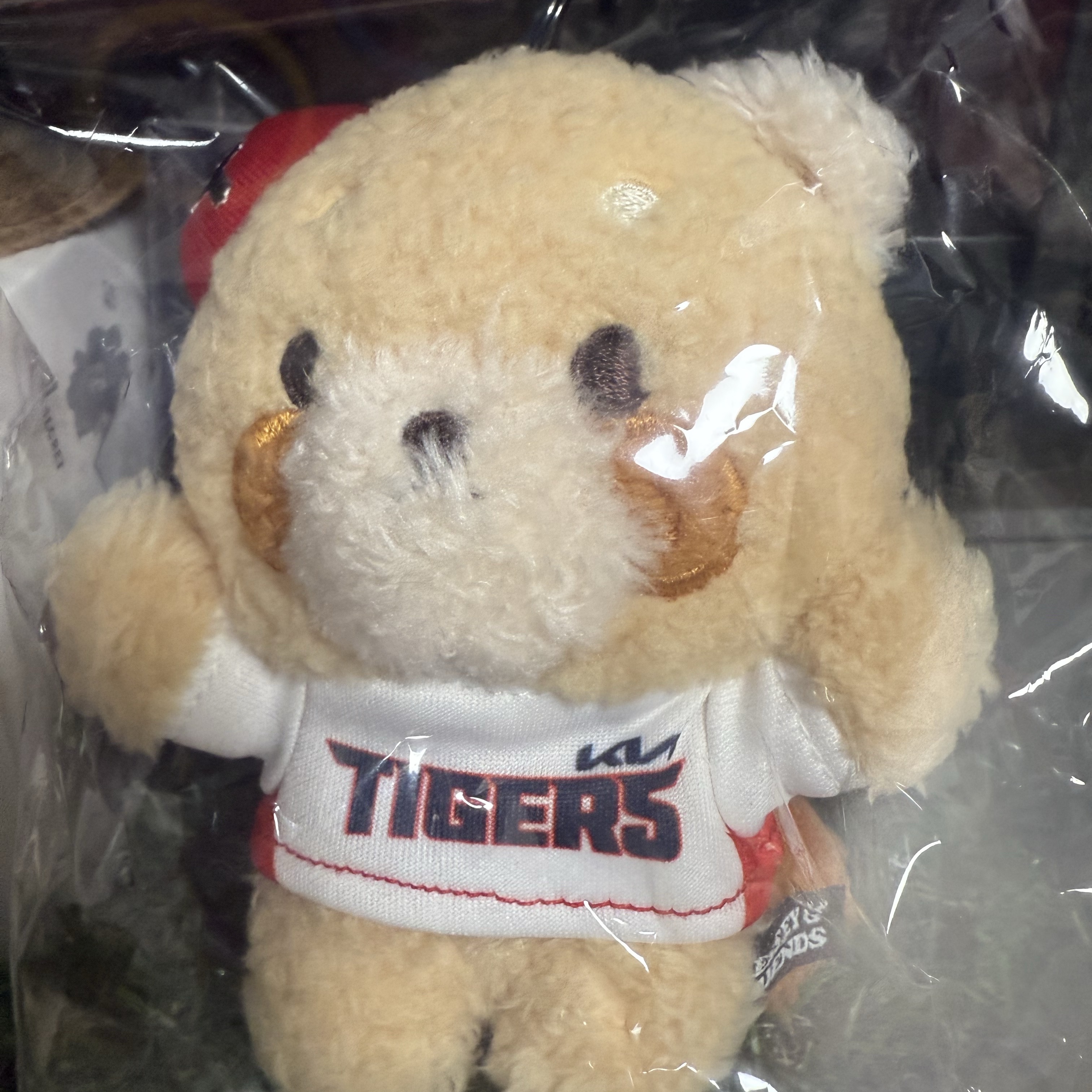 Lessey & Friends x KBO The Strongest Lessey Toy Keyring KIA Tigers 착용 스타일