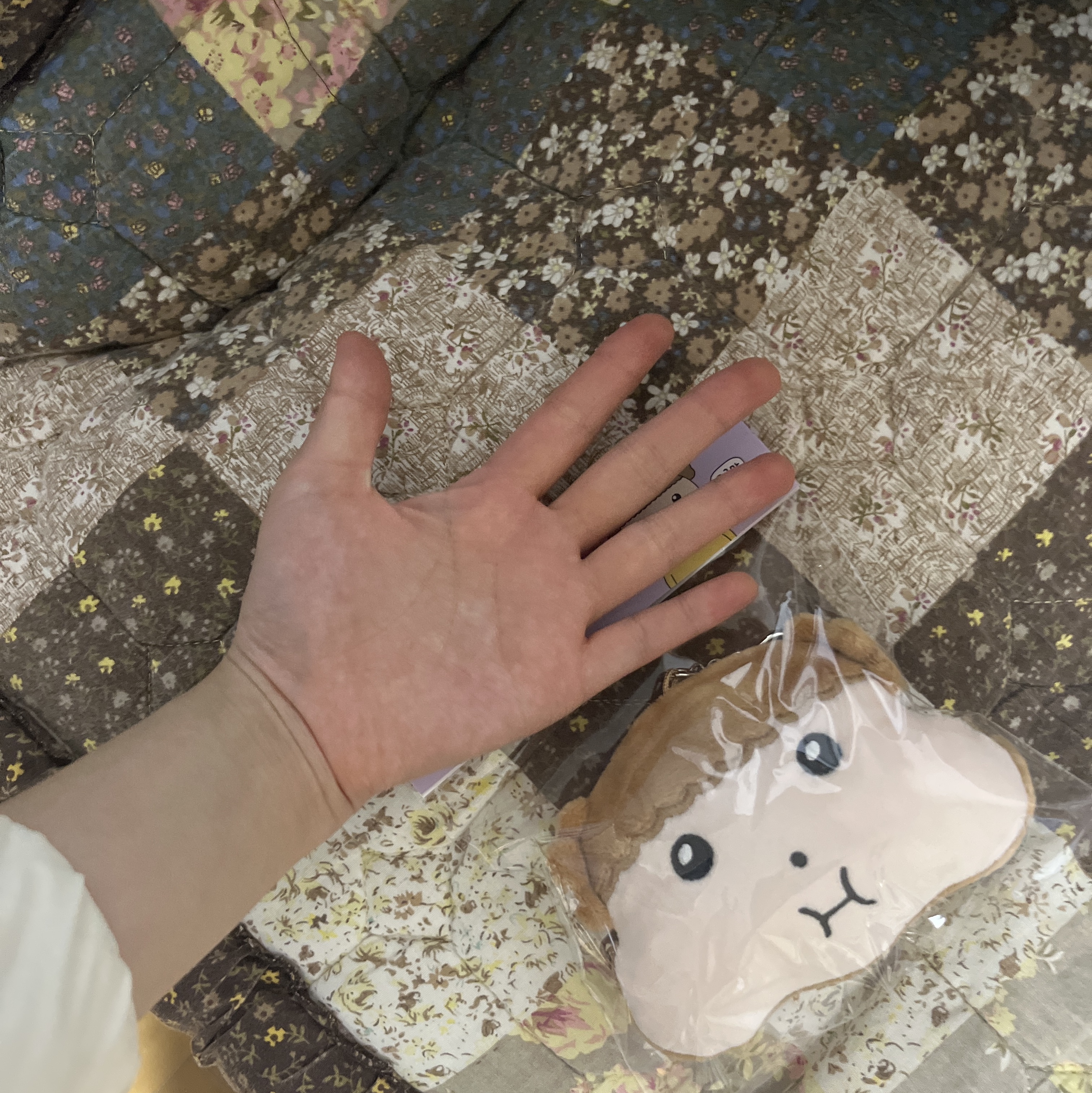 Maru is a Puppy Wallet Keyring NyamnyamMaru 착용 스타일