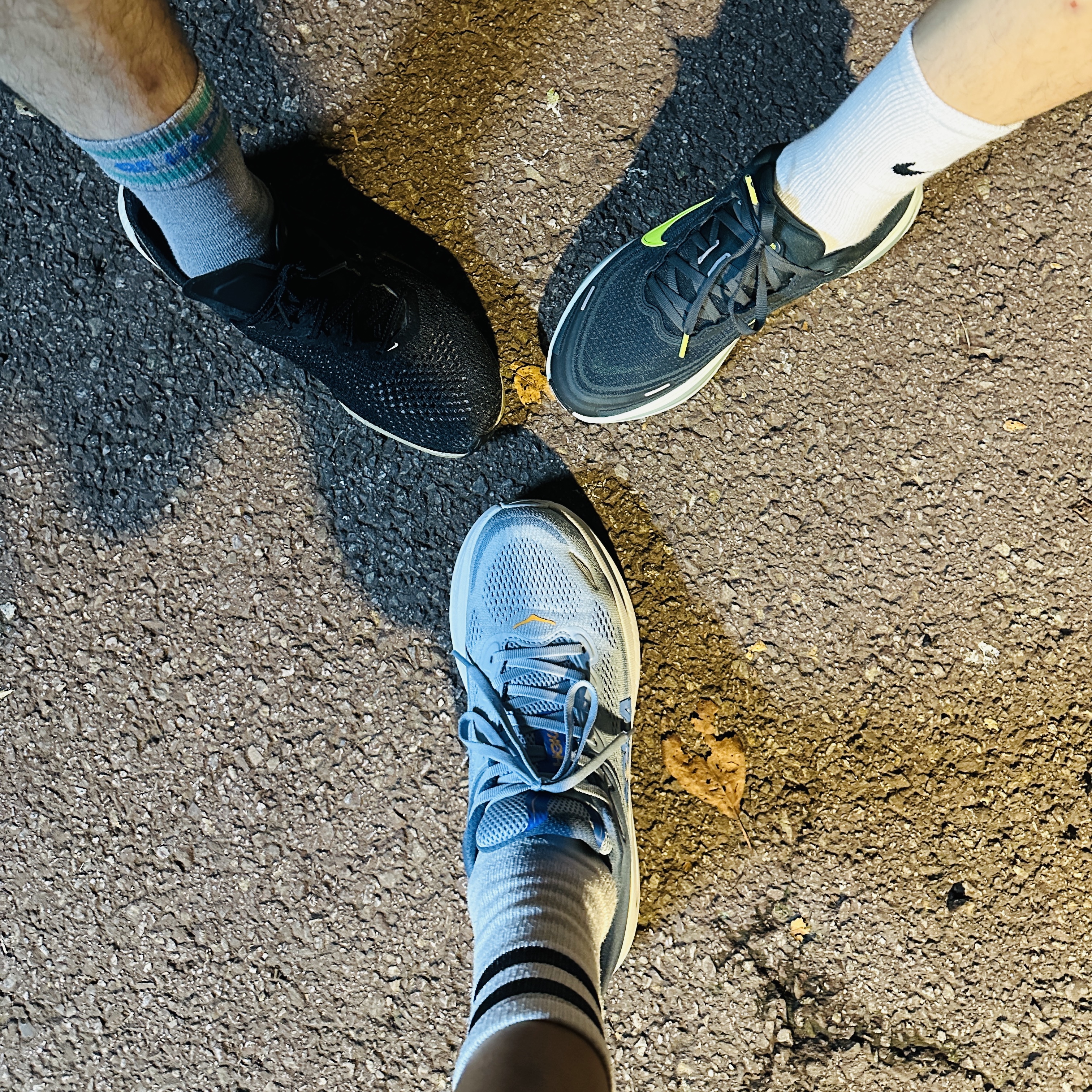 Hoka Bondi 9 Drizzle Downpour - Regular 착용 스타일