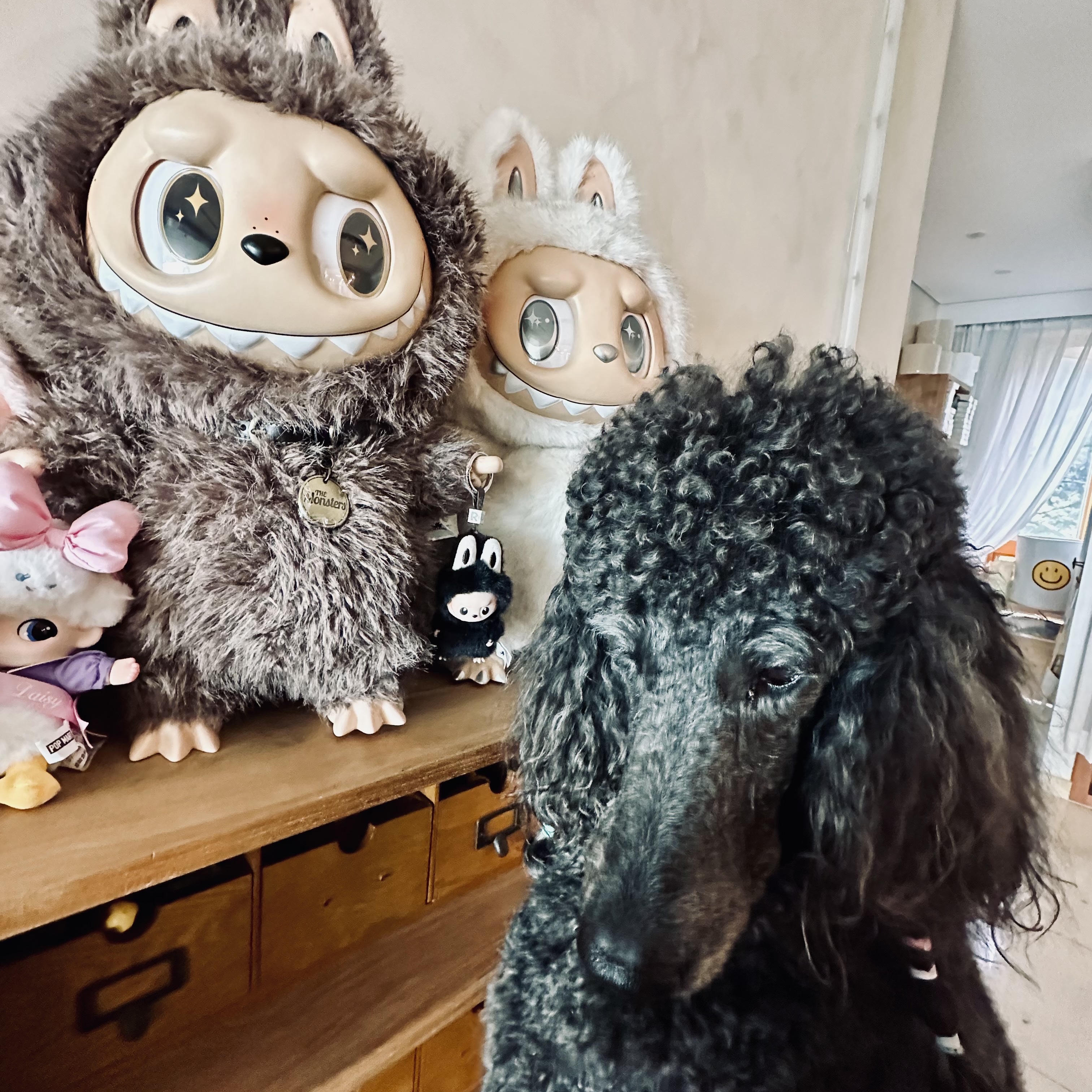 Pop Mart The Monsters I Found You Vinyl Face Doll 착용 스타일 - 2