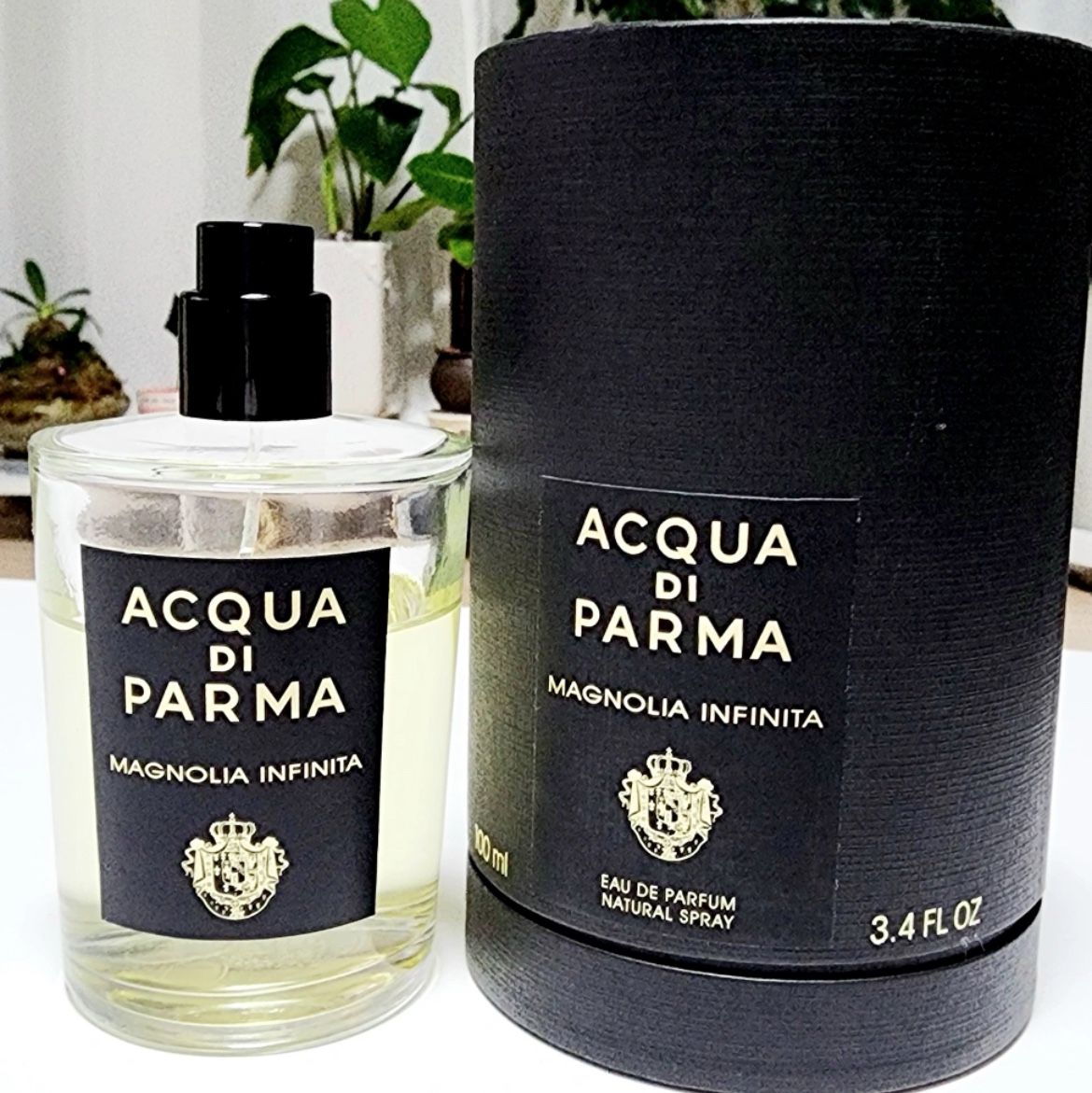 Acqua Di Parma Magnolia Infinita Eau De Parfum 100ml 착용 스타일