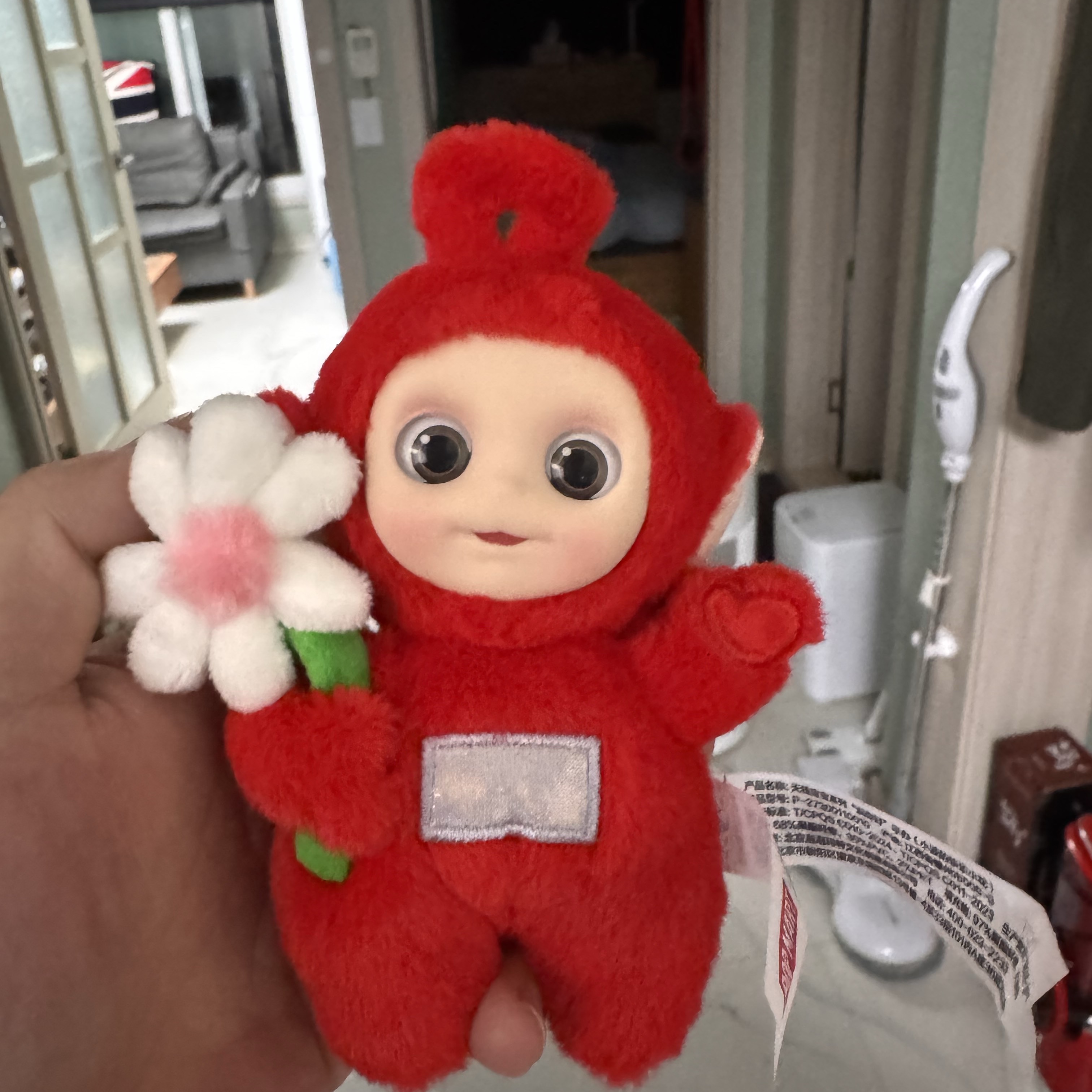 Pop Mart Teletubbies Say Hello Series Figures Sealed Case Po's Happy Flower (Opened Case) 착용 스타일