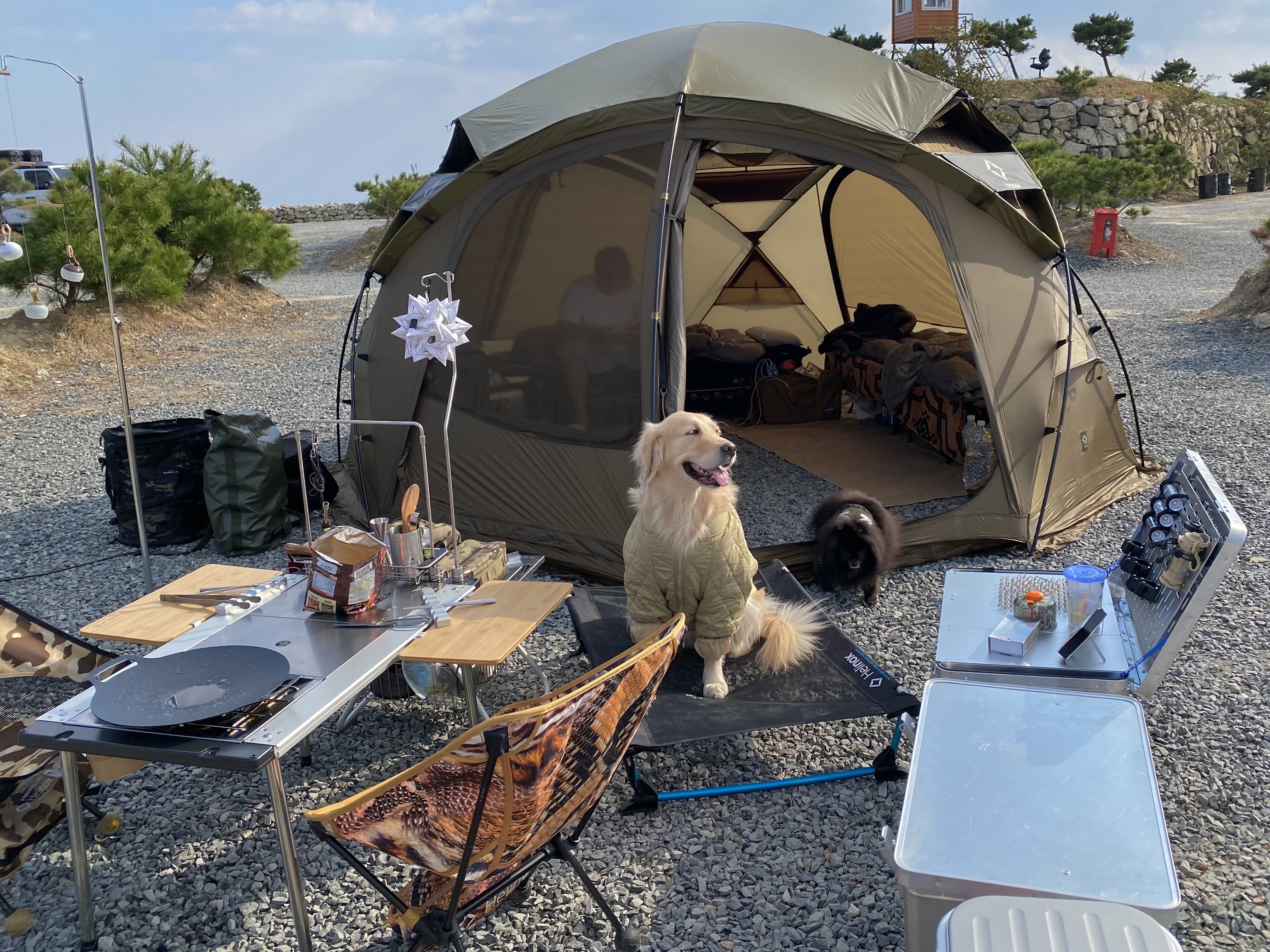 Helinox Tactical Nona Dome 4.0 Coyote Tan, Snow Peak IGT Three Unit Frame 착용 스타일