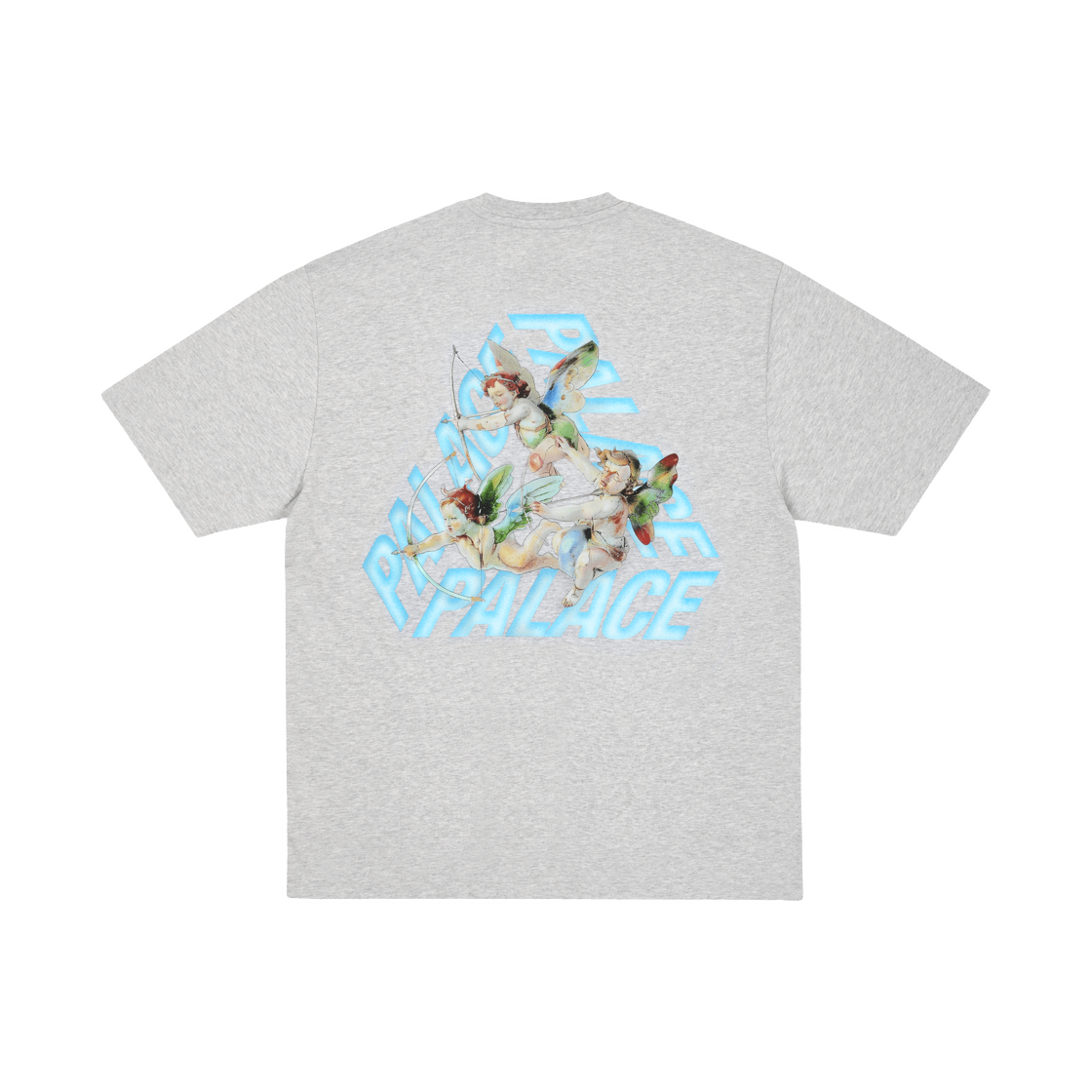 팔라스 체럽 P-3 티셔츠 그레이 말 - 25FW | Palace | KREAM
