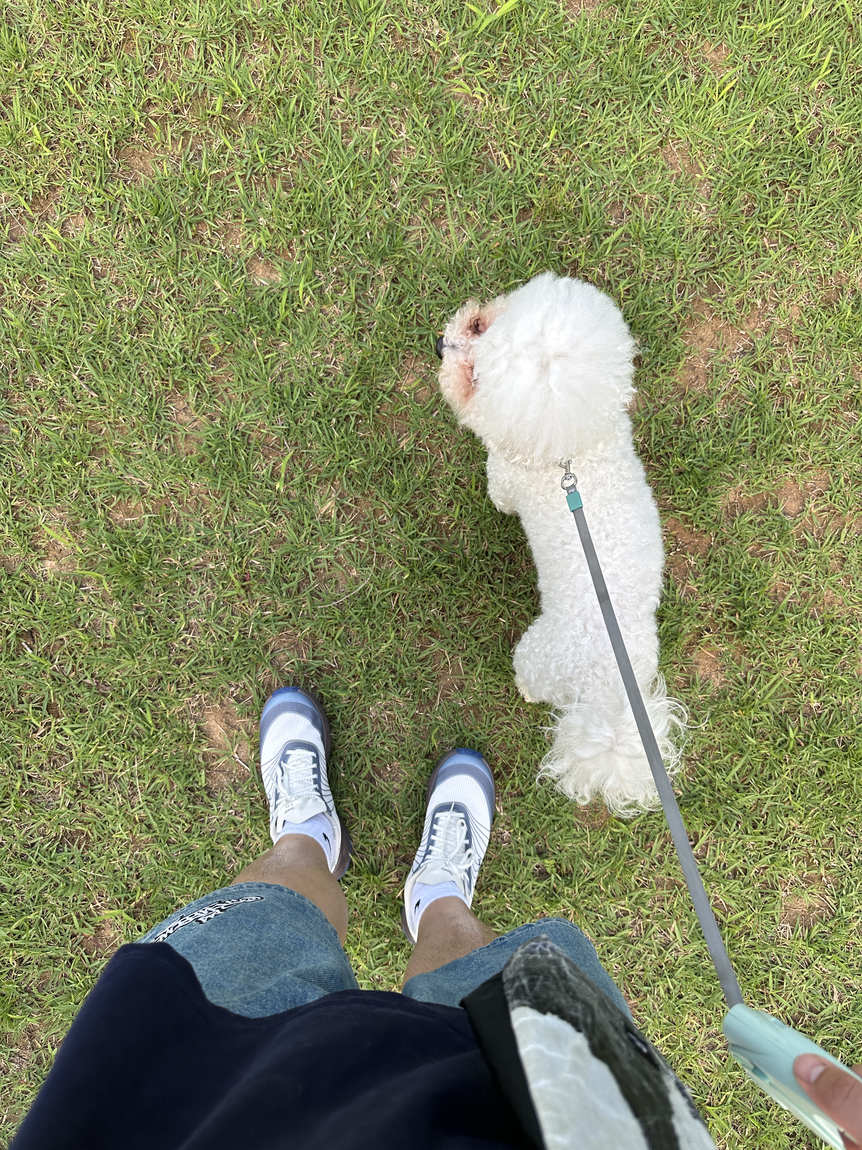 너구리님의 스타일