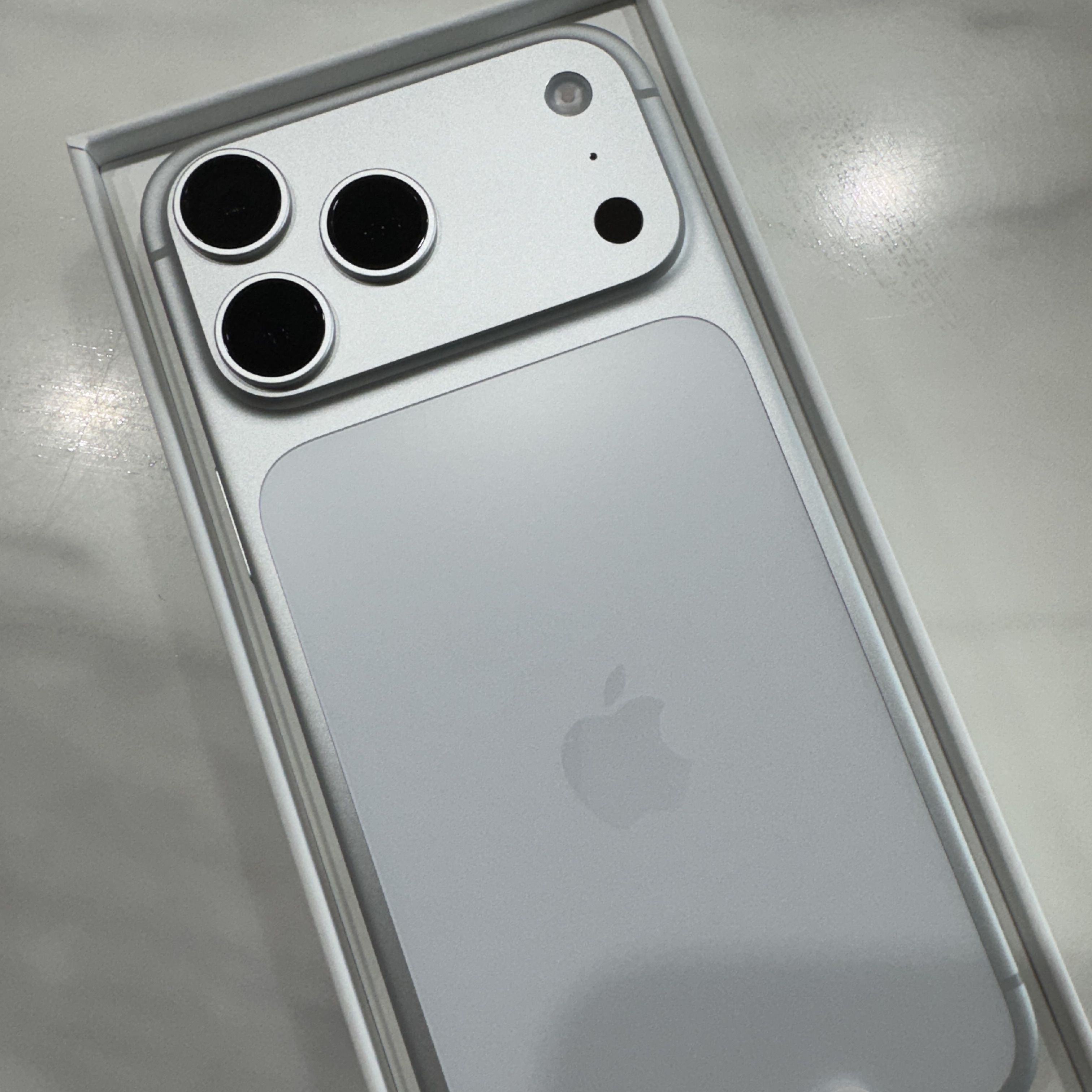 Apple iPhone 17 Pro Max 512GB Silver 착용 스타일 - 3