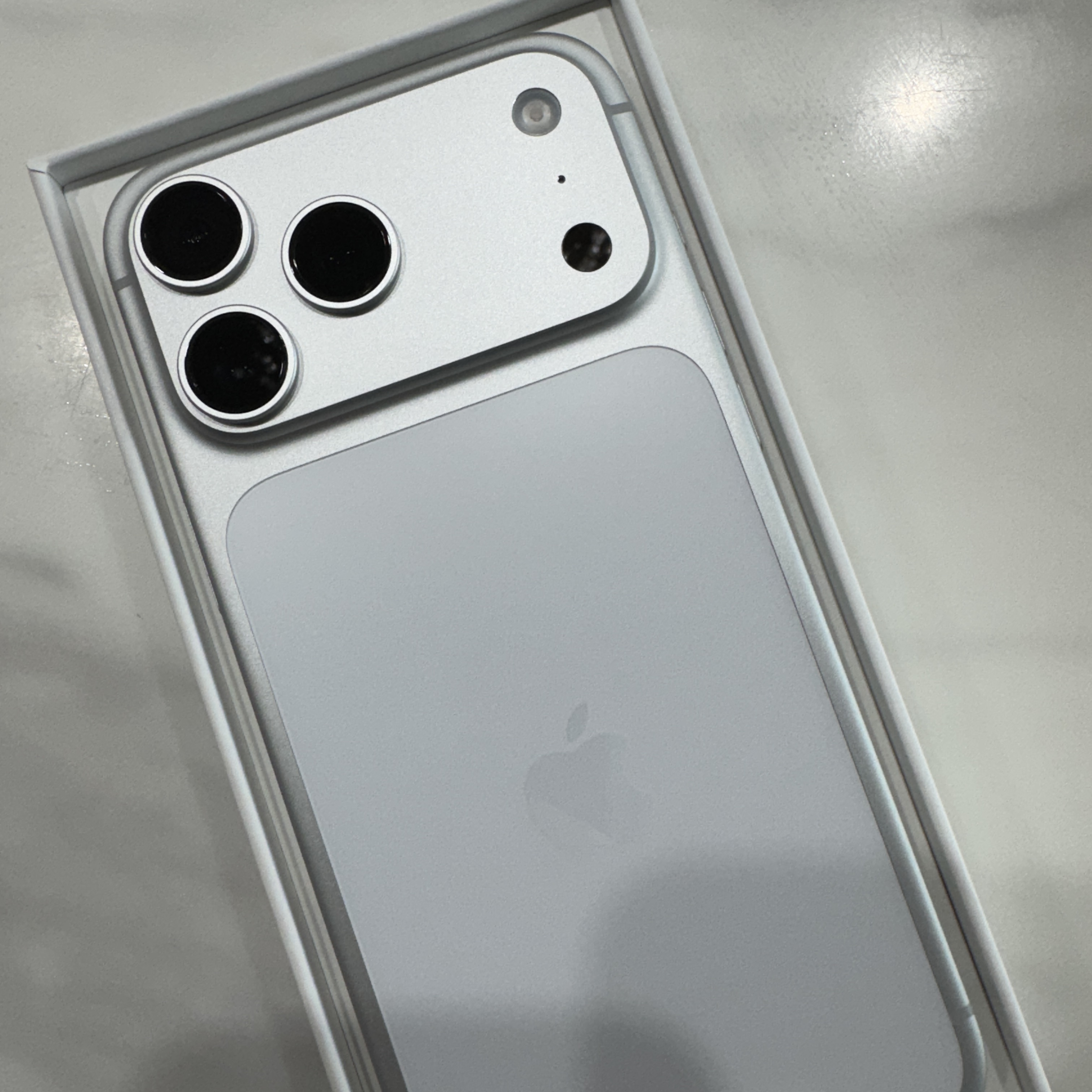 Apple iPhone 17 Pro Max 512GB Silver 착용 스타일 - 1