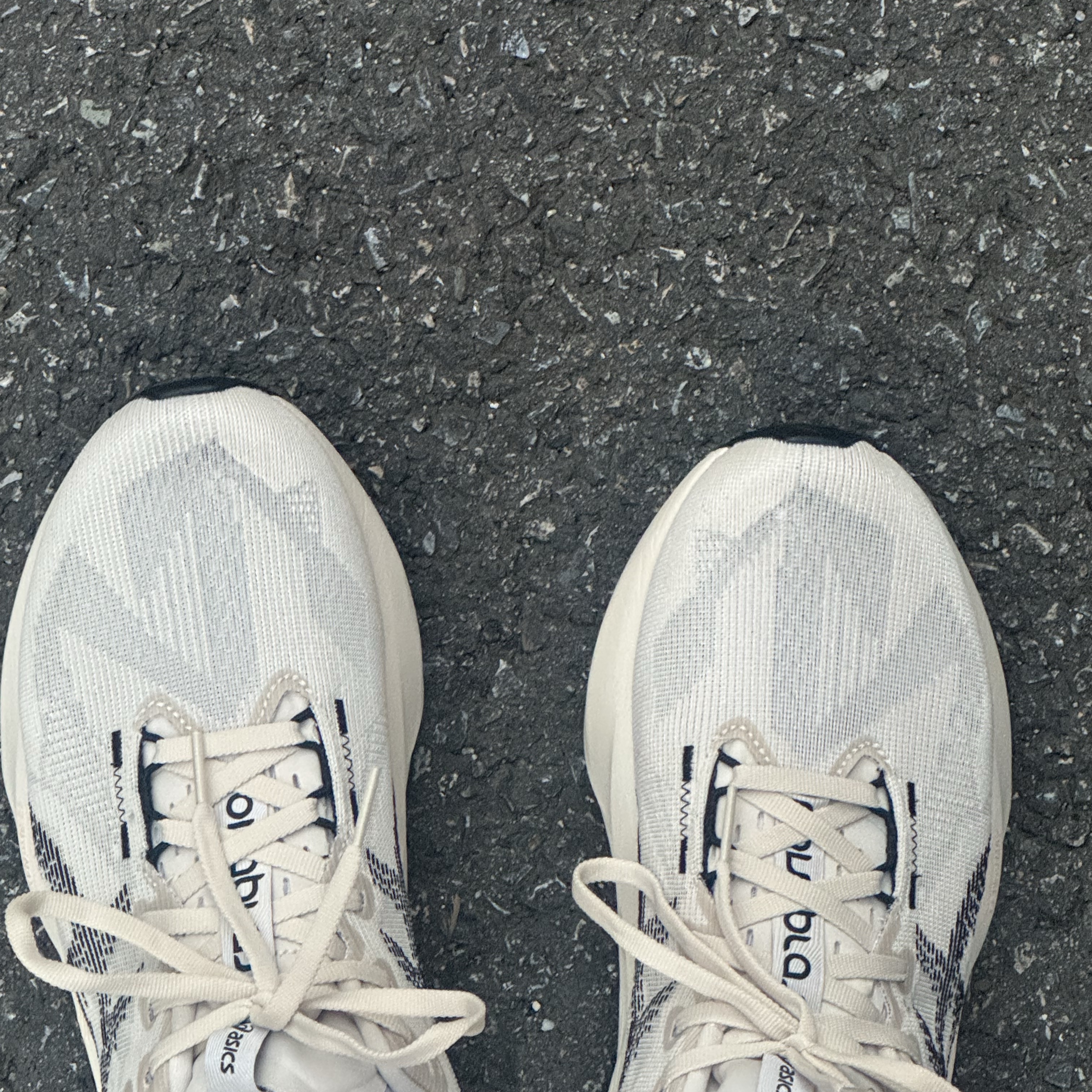 Asics Novablast 5 Oatmeal Black - D Standard 착용 스타일 - 3