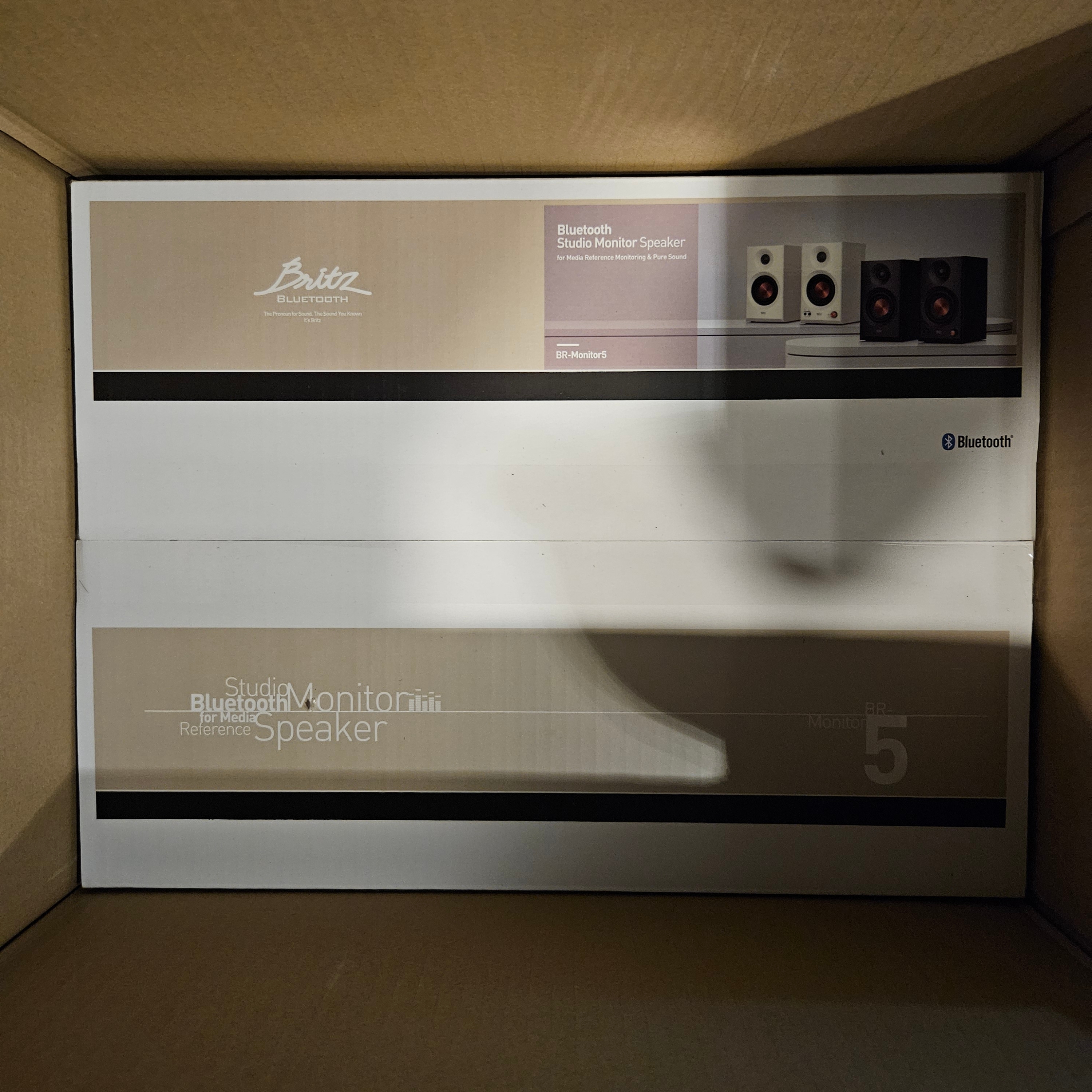 Britz BR-Monitor5 Bluetooth Studio Monitor Speaker White 착용 스타일