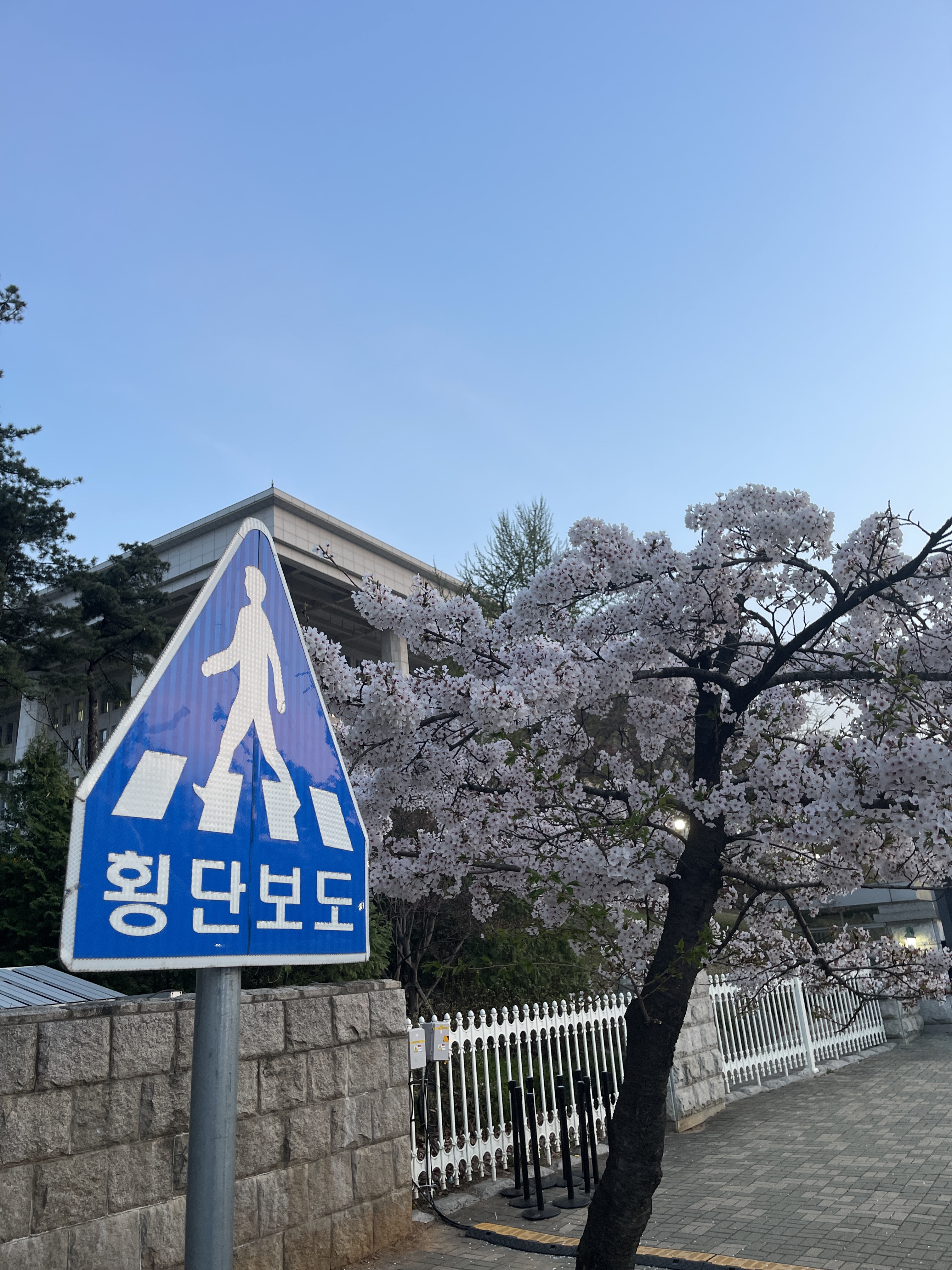 90ssun님의 스타일 - 4