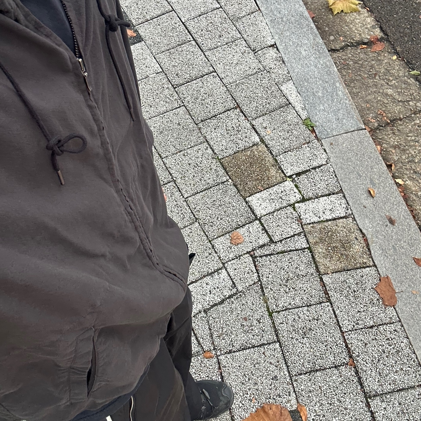 Polyteru Zip Hoodie Parka Charcoal, Salomon XA Pro 3D Black Magnet 착용 스타일