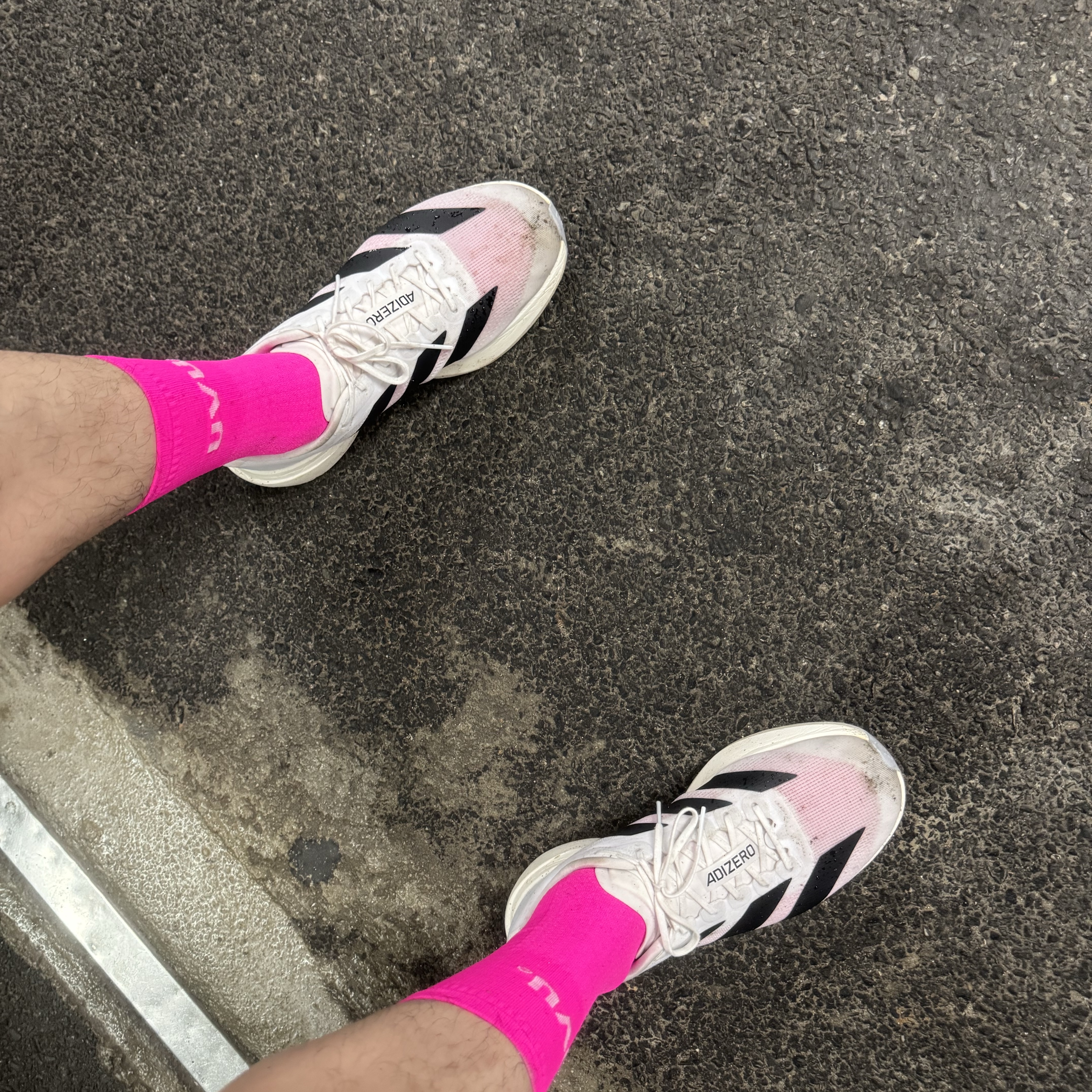 Adidas Adizero EVO SL Cloud White Core Black, UVU Running Sock Pink 착용 스타일