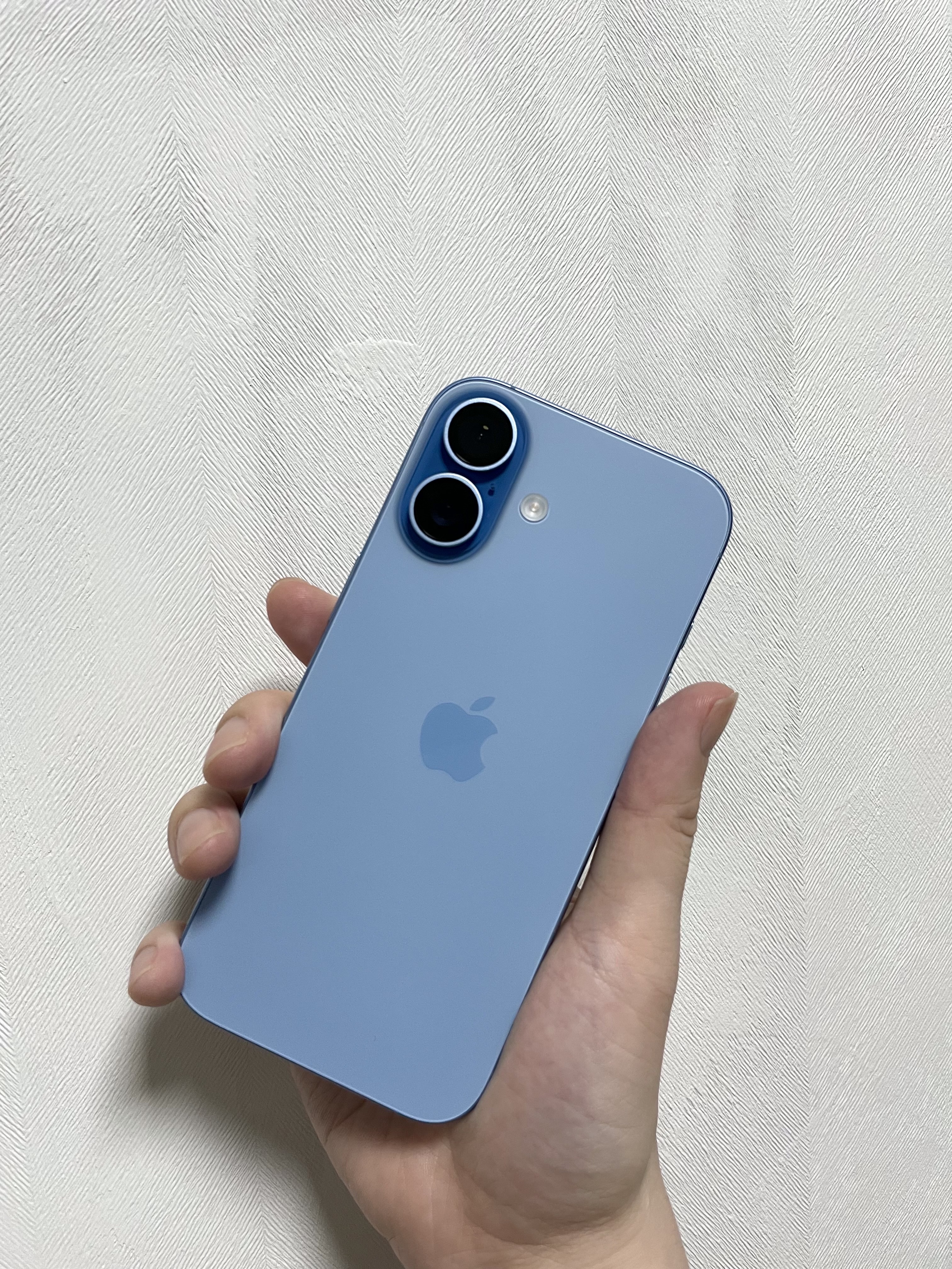 Apple iPhone 17 256GB Mist Blue 착용 스타일 - 1