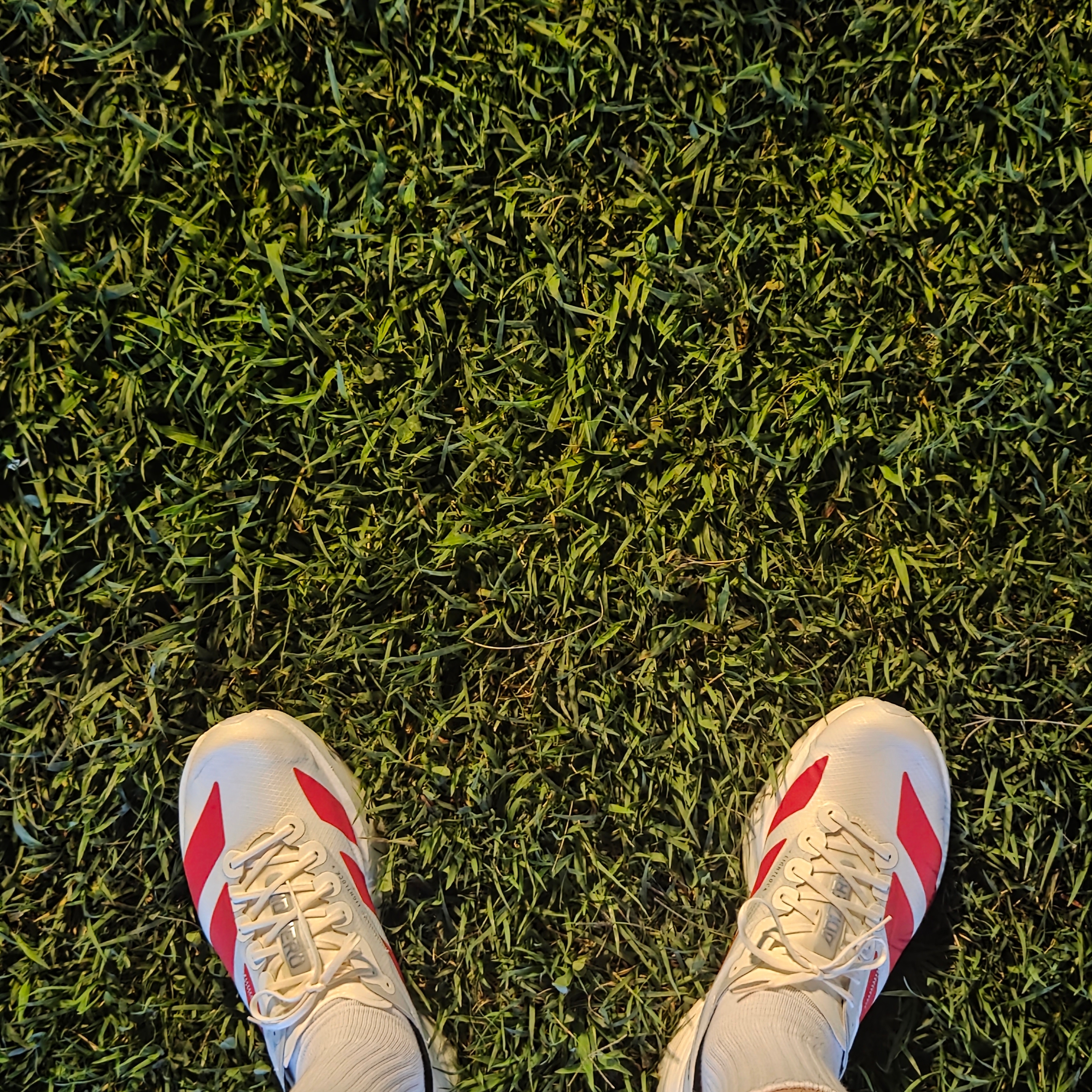 Adidas Adizero Adios Pro 4 Off White Better Scarlet 착용 스타일