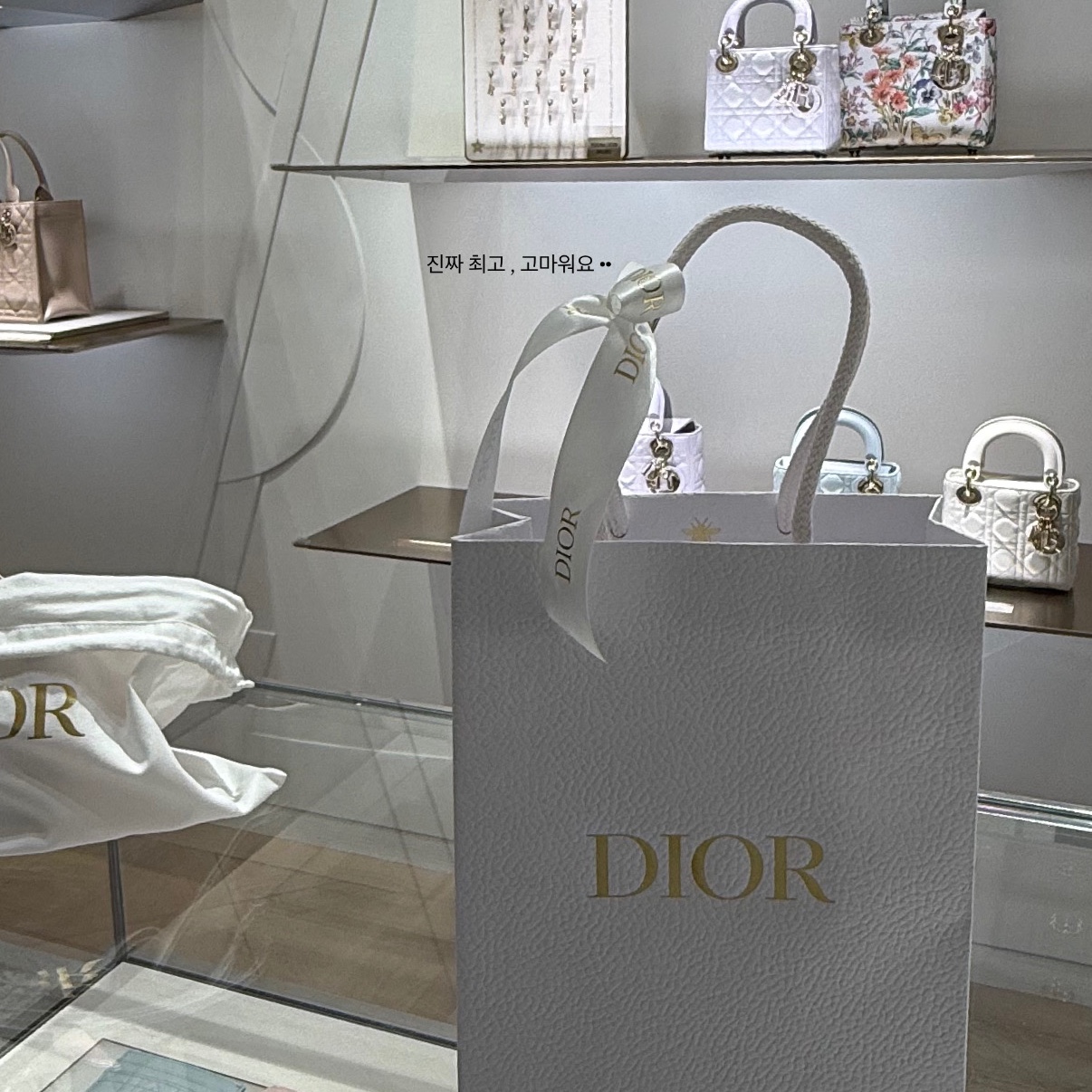 Dior Lady 5-Gusset Card Holder Patent Cannage Calfskin Black 착용 스타일 - 2