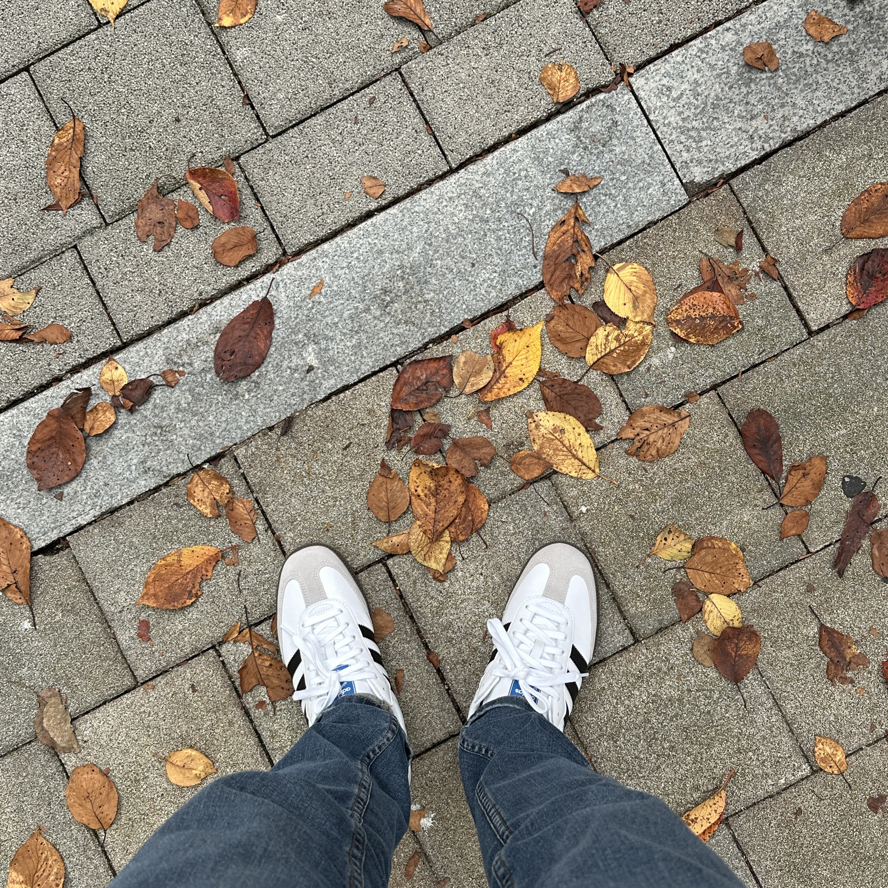 Adidas Samba OG Cloud White 착용 스타일