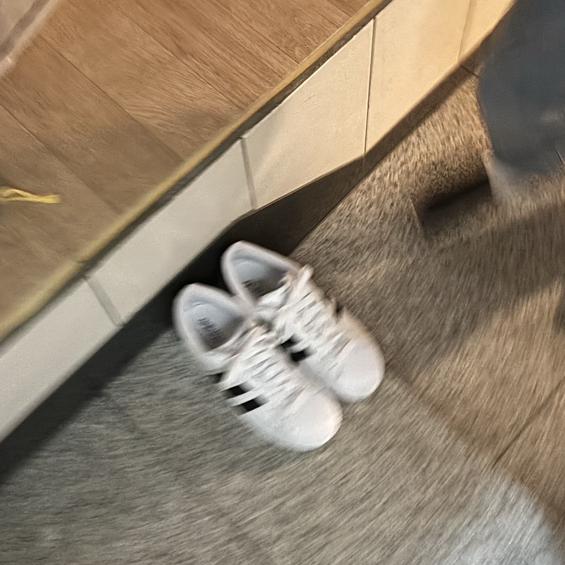 Adidas Superstar White Black 착용 스타일
