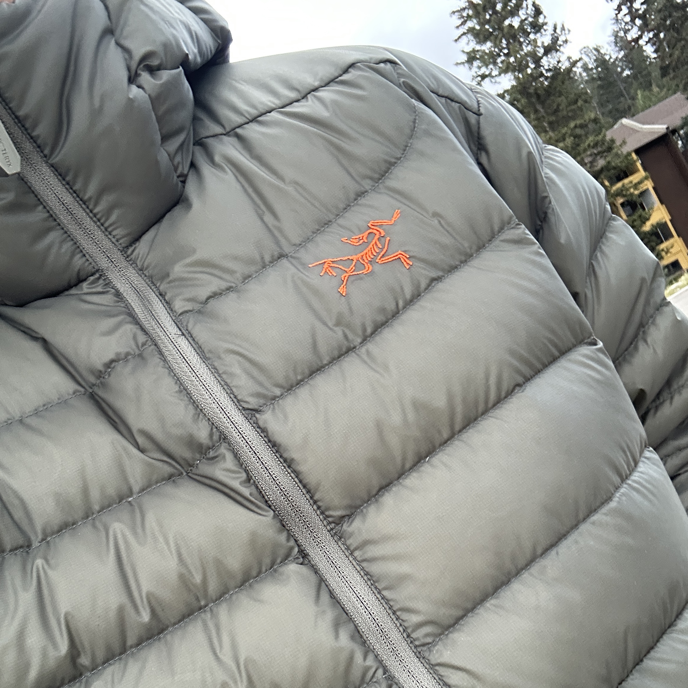 Arc'teryx Cerium Hoody Forage Verve 착용 스타일 - 1