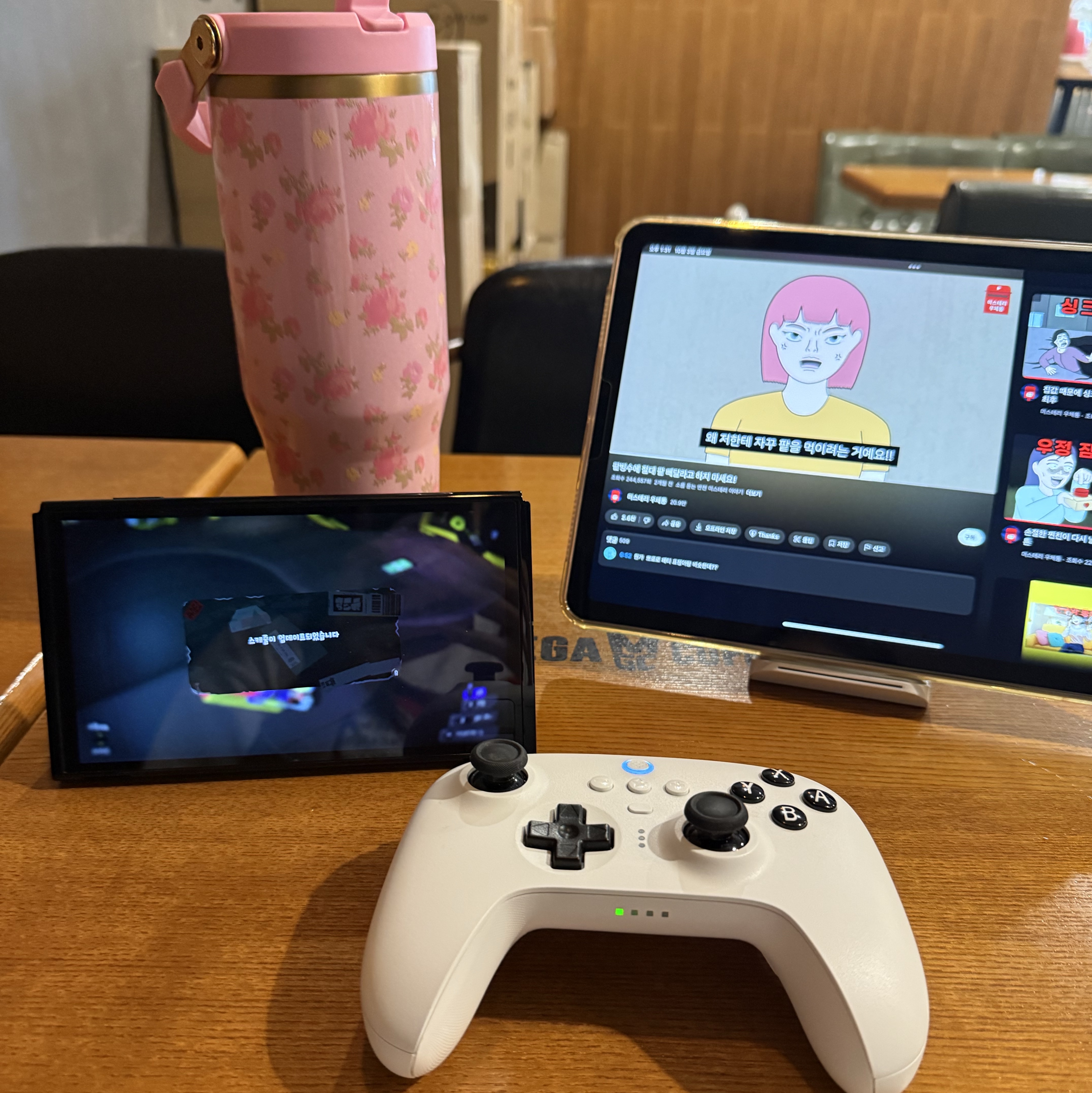 Nintendo Switch OLED White (Korean Ver.) 착용 스타일