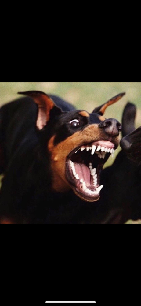 관심 유저 프로필 이미지