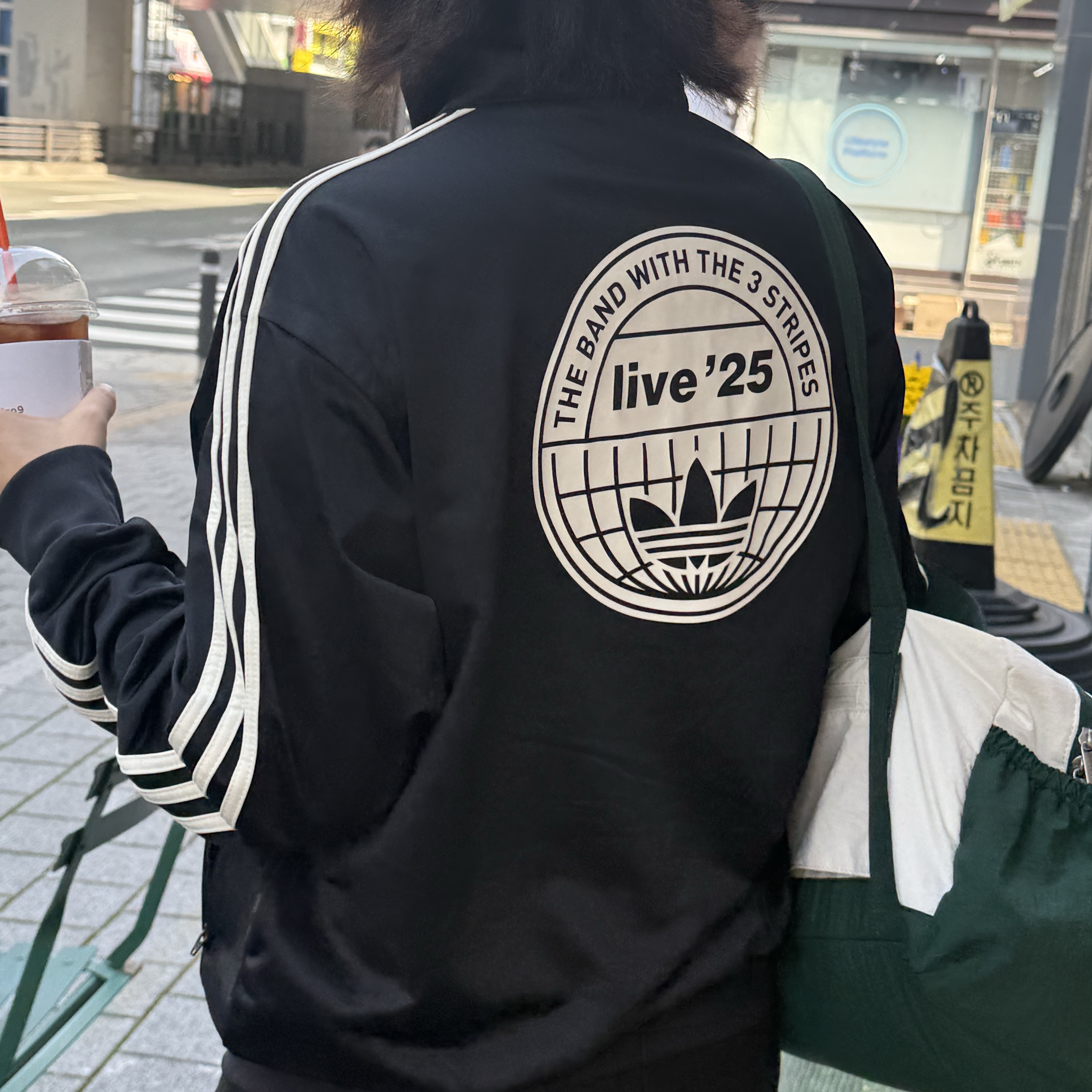 Adidas x Oasis Tour Firebird Track Top Black - KR Sizing 착용 스타일