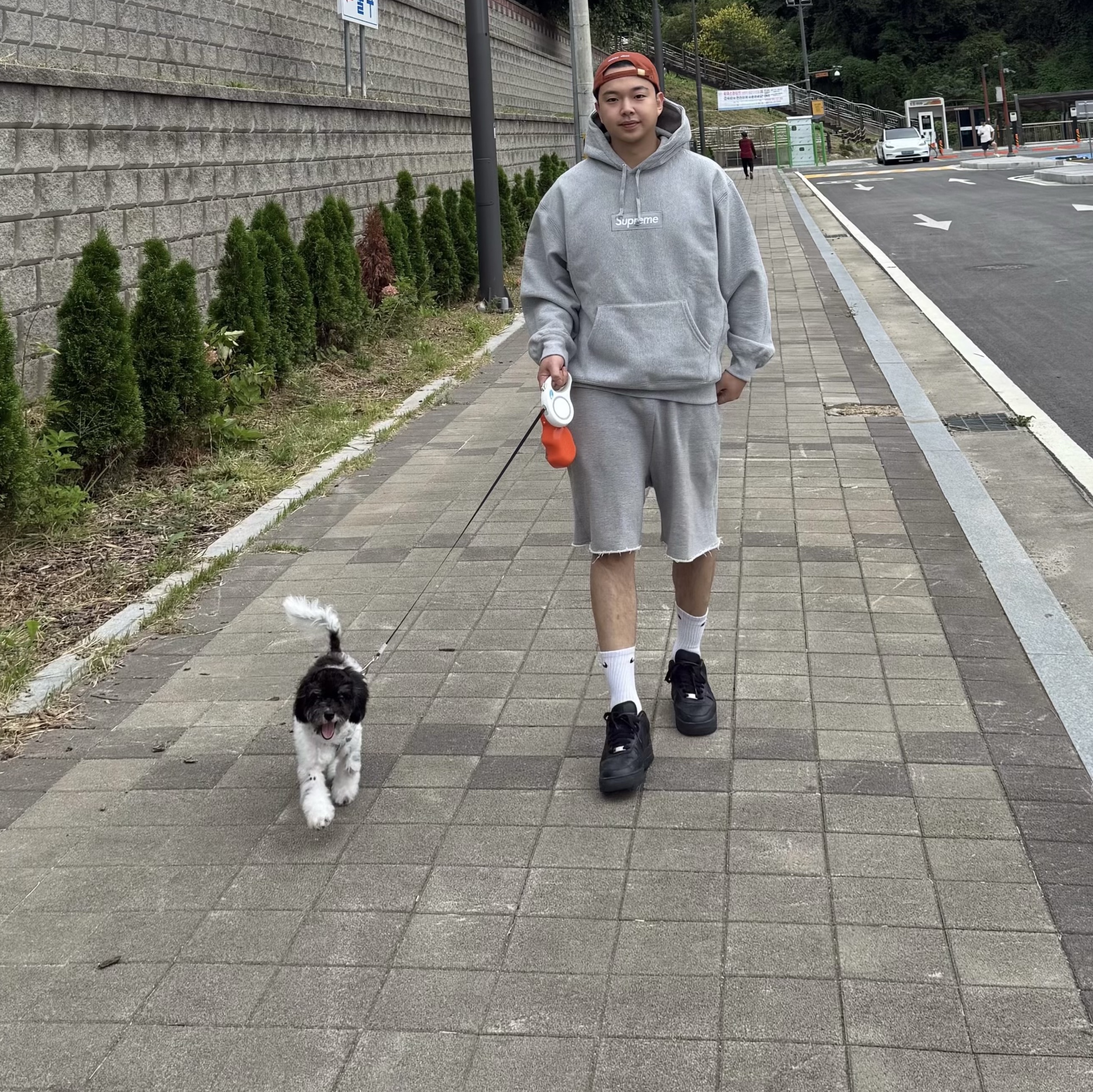 Supreme Box Logo Hooded Sweatshirt Heather Grey - 24FW, Nike Air Force 1 '07 Low Triple Black 착용 스타일